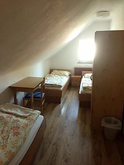 Bed in Youth Hostel Nika