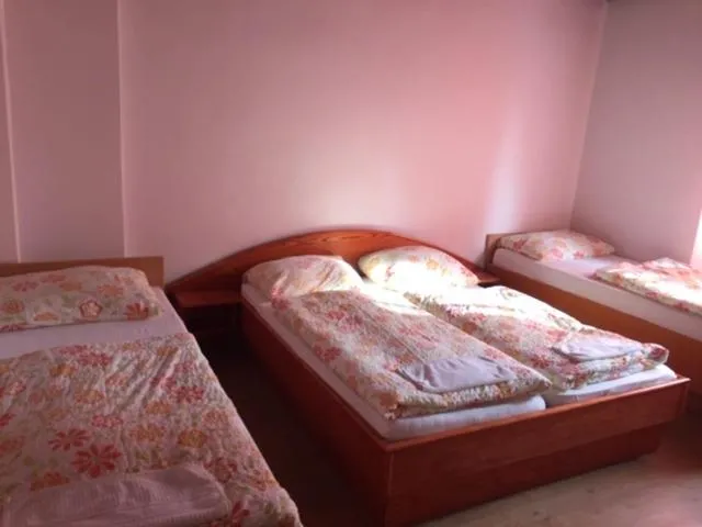Bed in Youth Hostel Nika