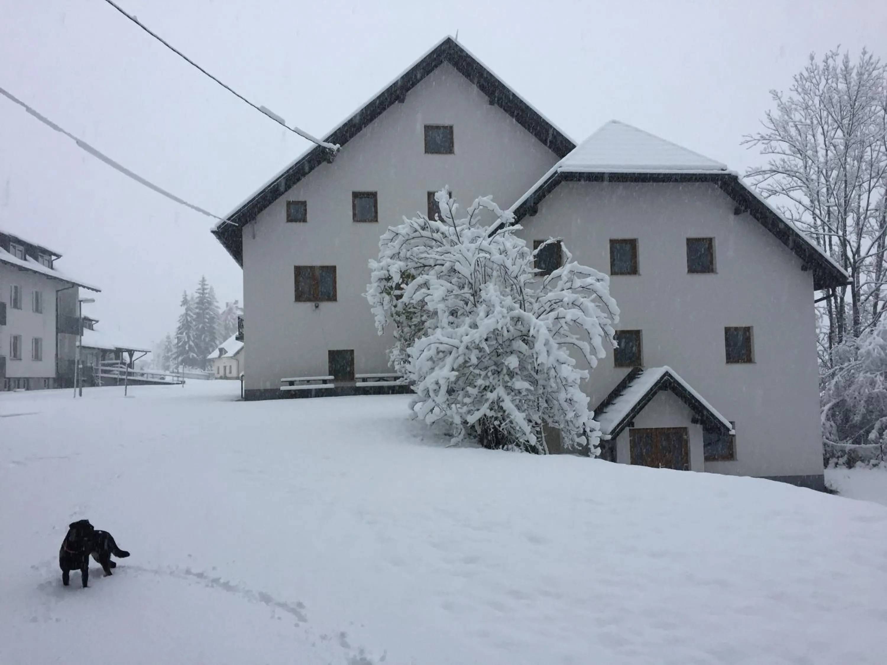 Winter in Youth Hostel Nika