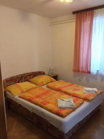 Bed in Youth Hostel Nika