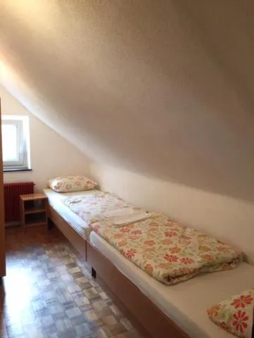 Bed in Youth Hostel Nika