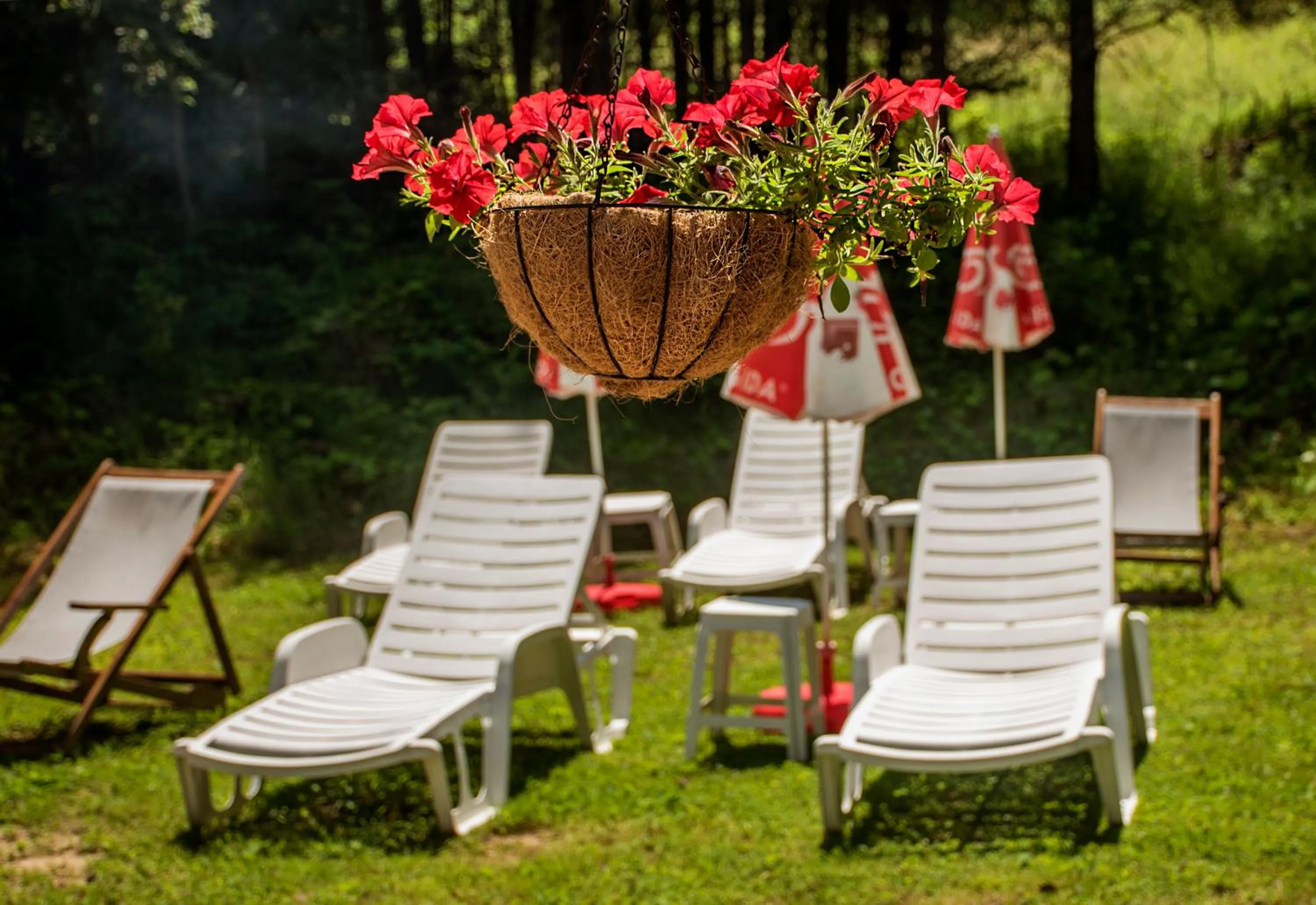 Patio in Guest House Slunchev Cviat