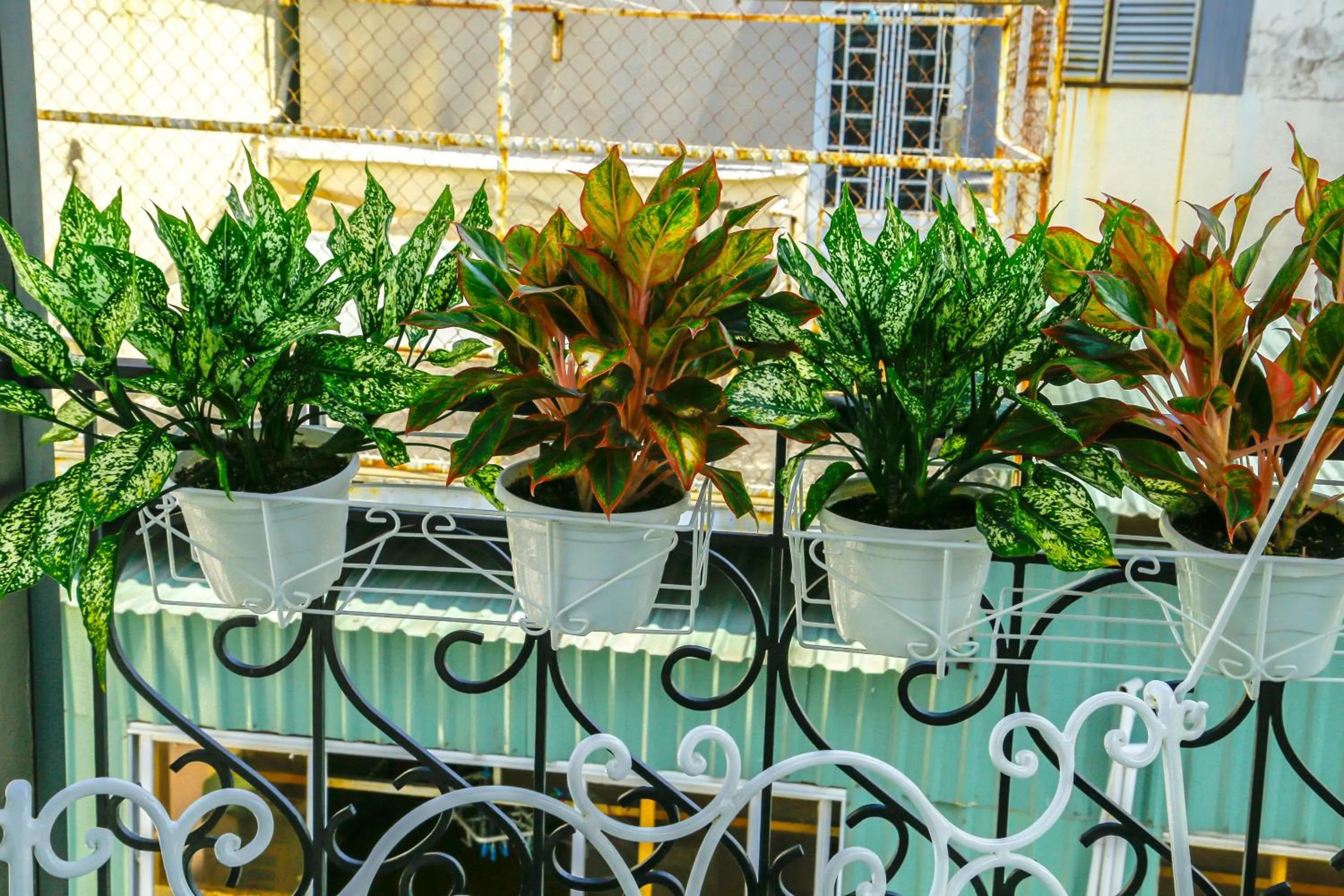 Louis Hotel - Bui Vien Walking Street