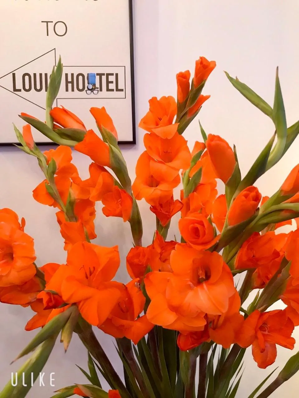 Louis Hotel - Bui Vien Walking Street