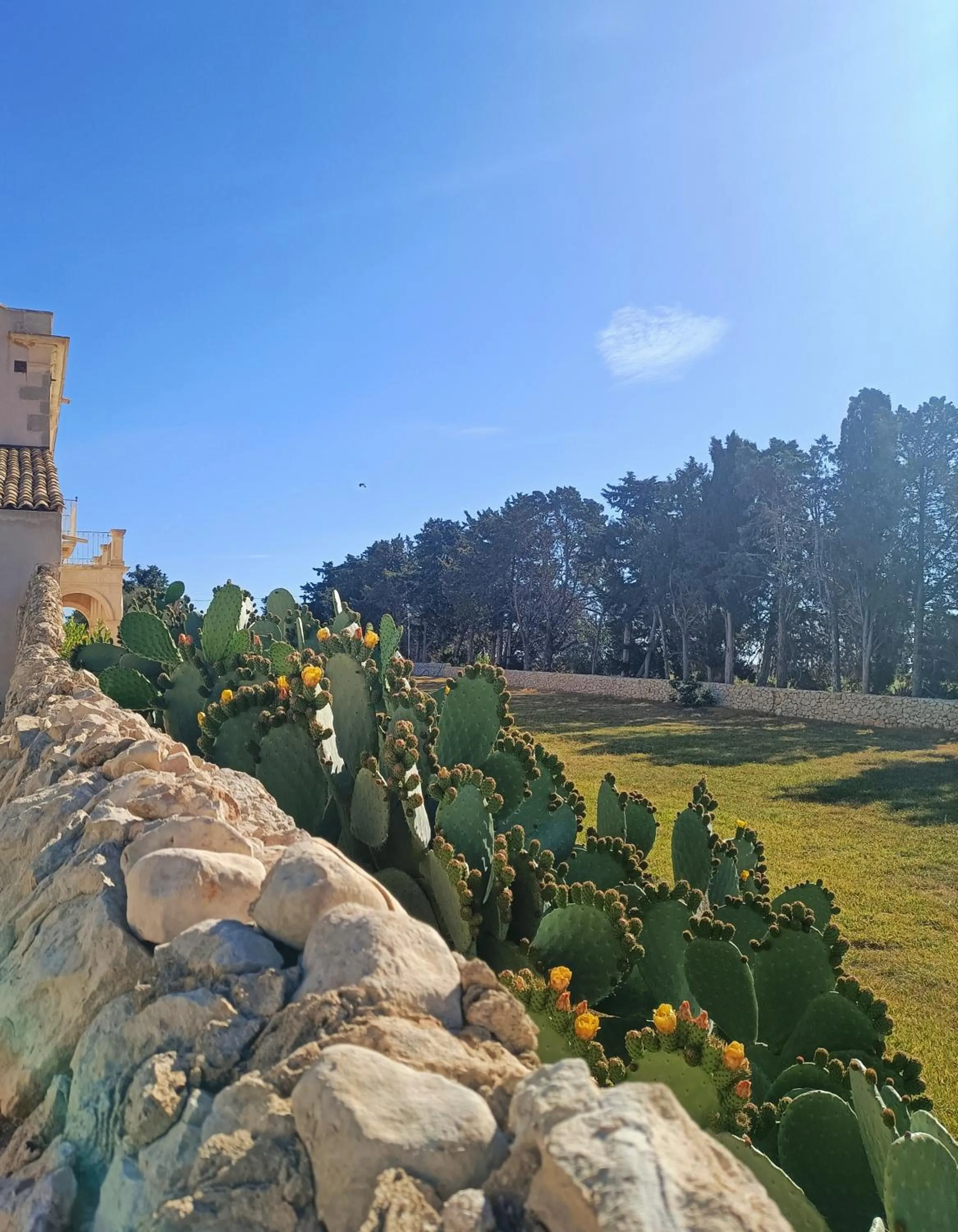 Garden view in Ballium Luxury Relais