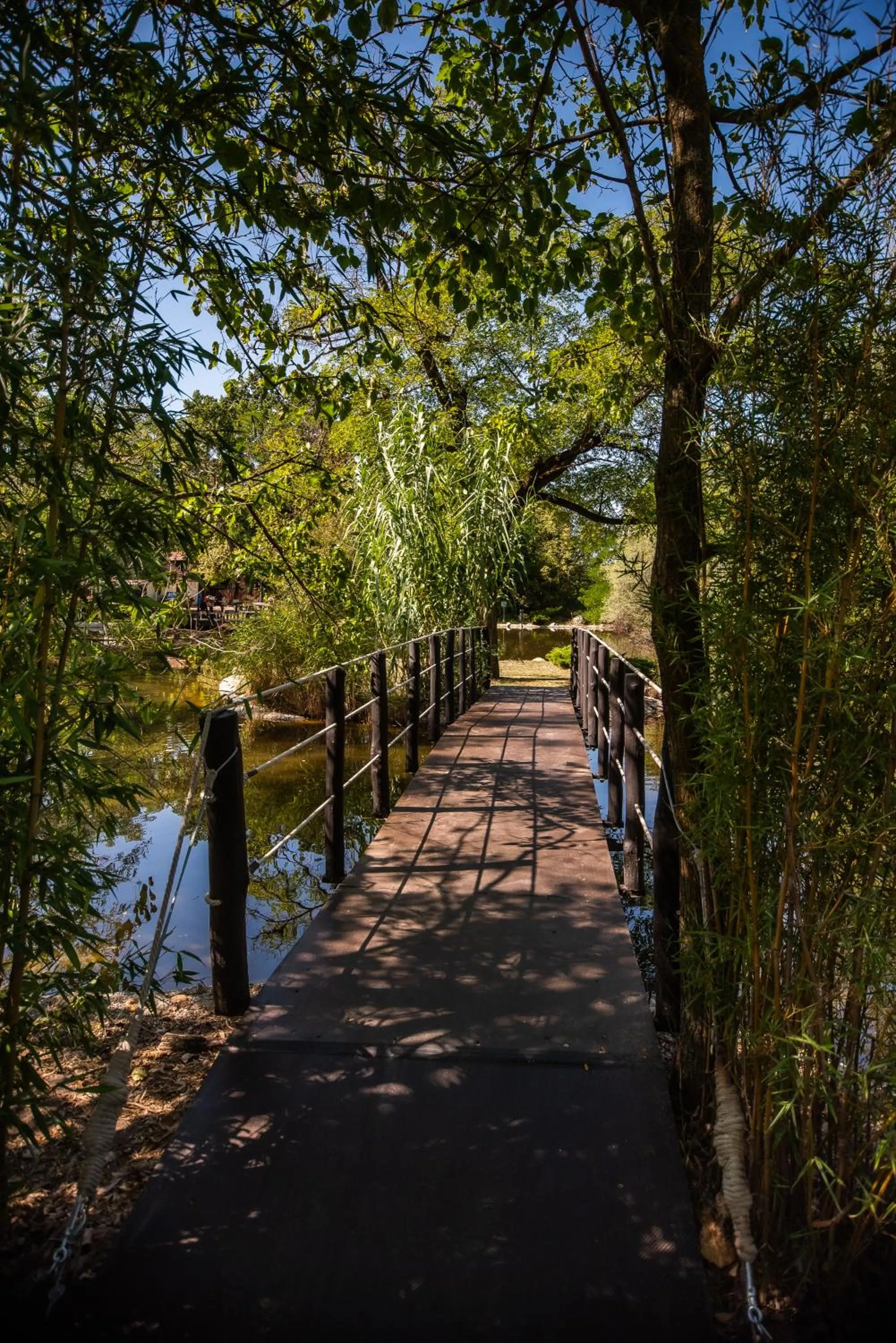 Garden in Nyerges Hotel Termál Superior