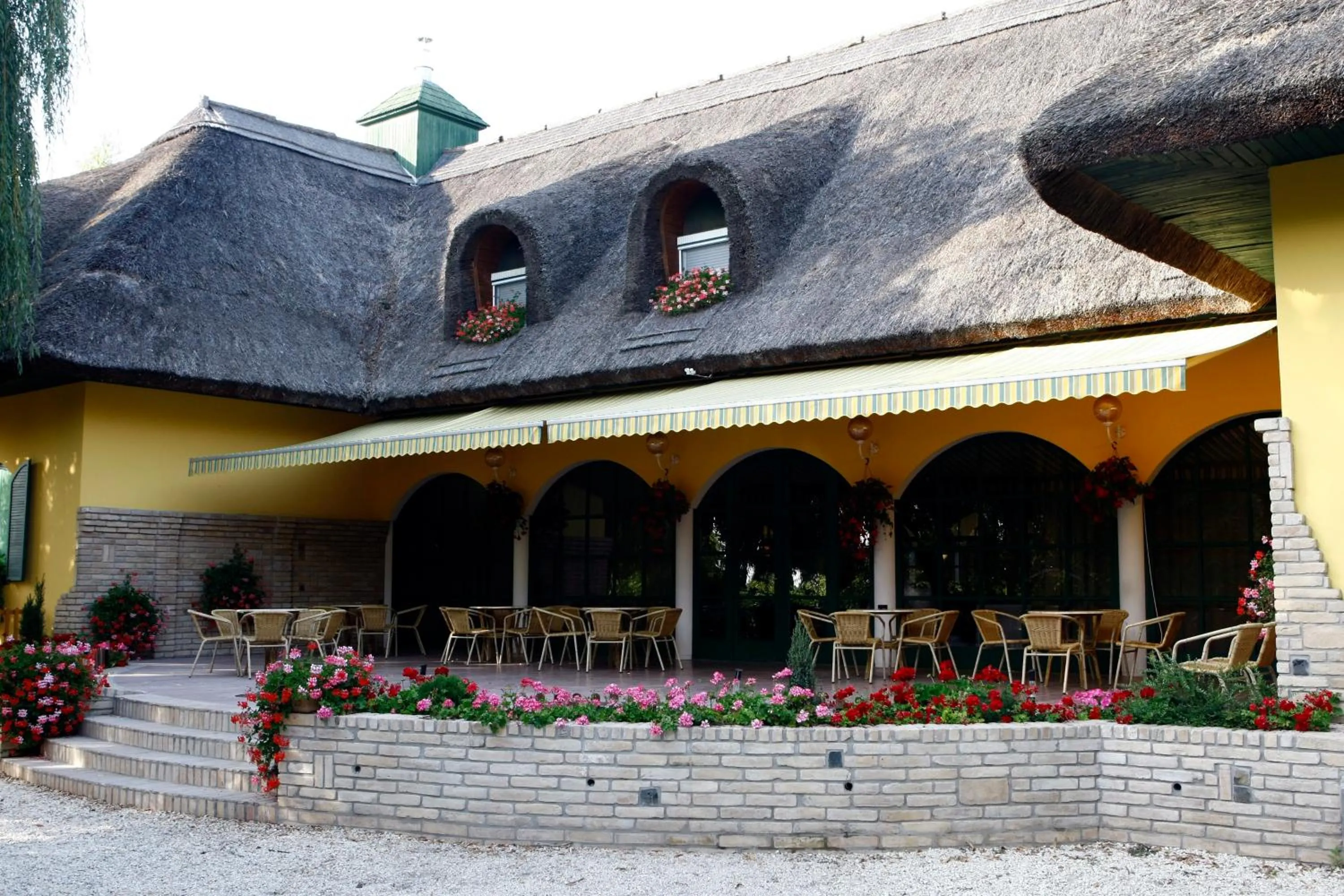 Balcony/Terrace in Nyerges Hotel Termál Superior