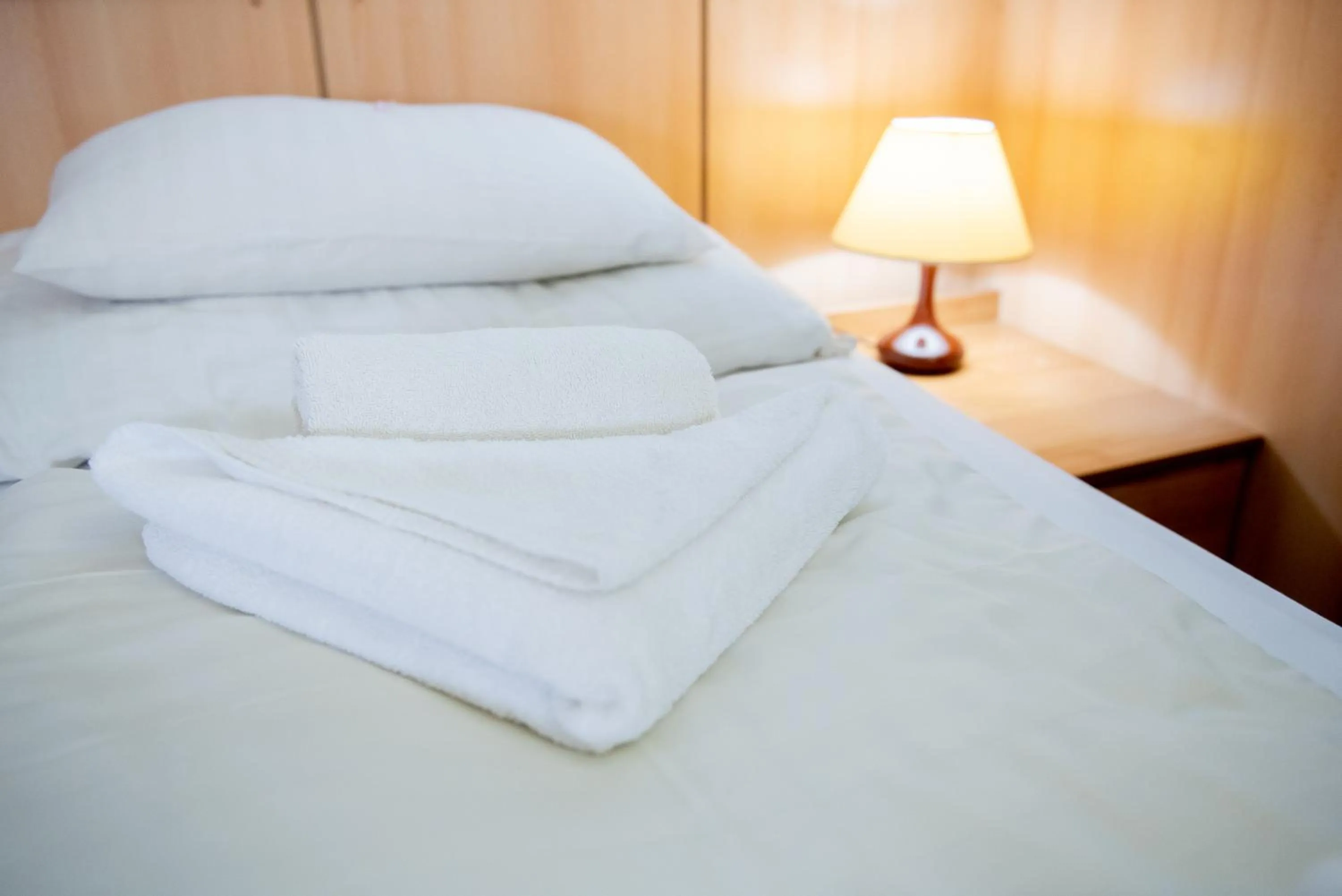 Photo of the whole room, Bed in Nyerges Hotel Termál Superior