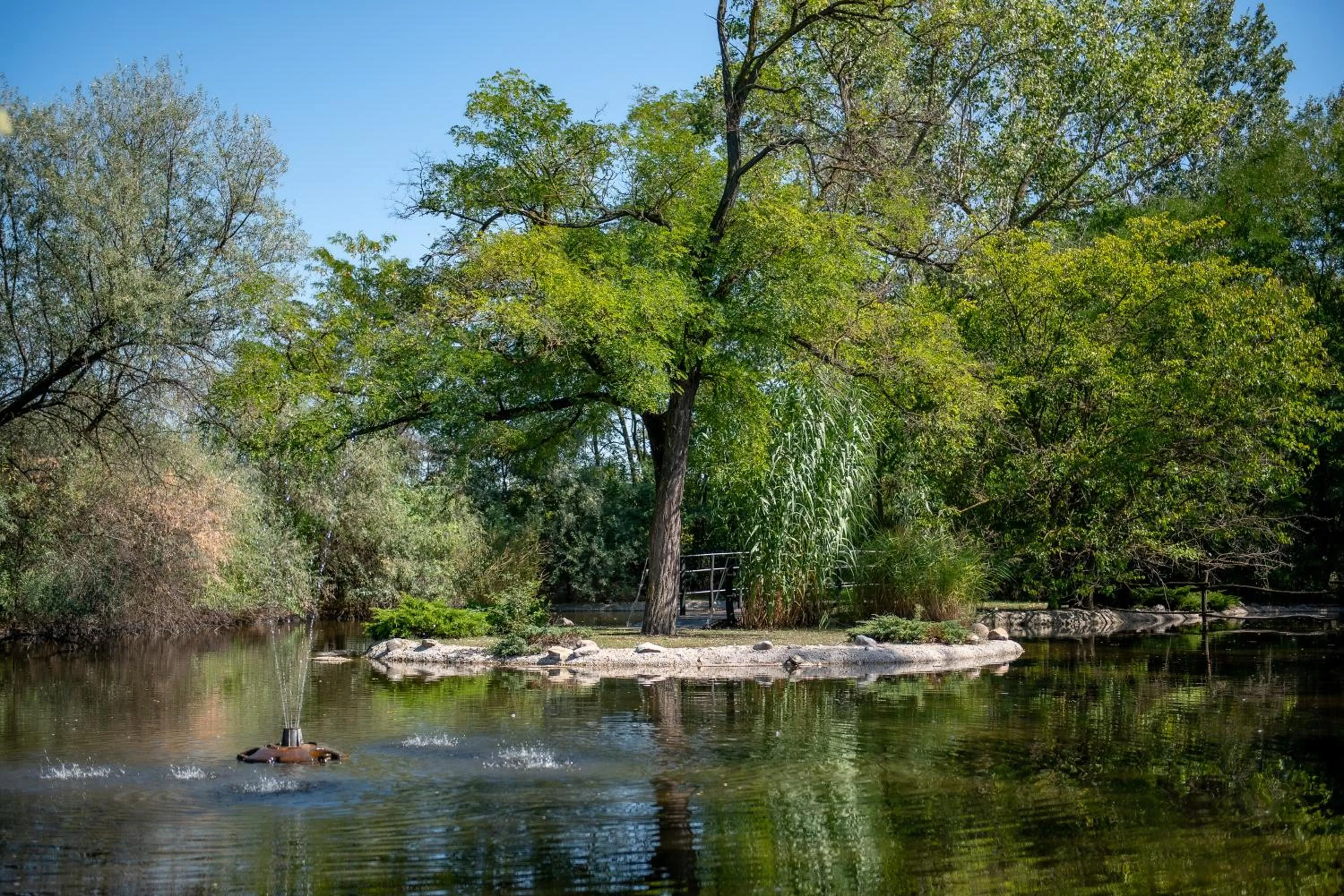 Garden in Nyerges Hotel Termál Superior
