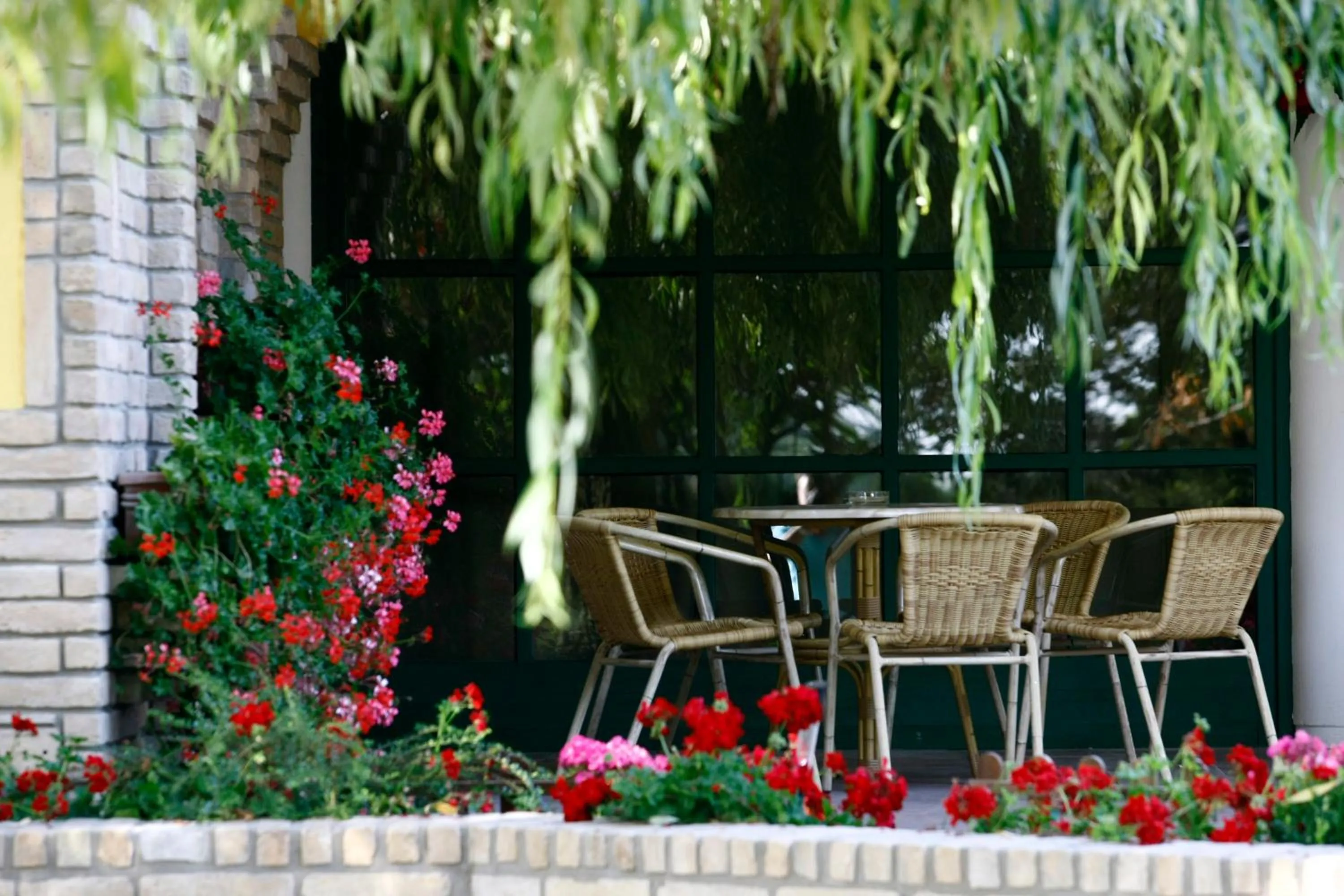 Garden in Nyerges Hotel Termál Superior