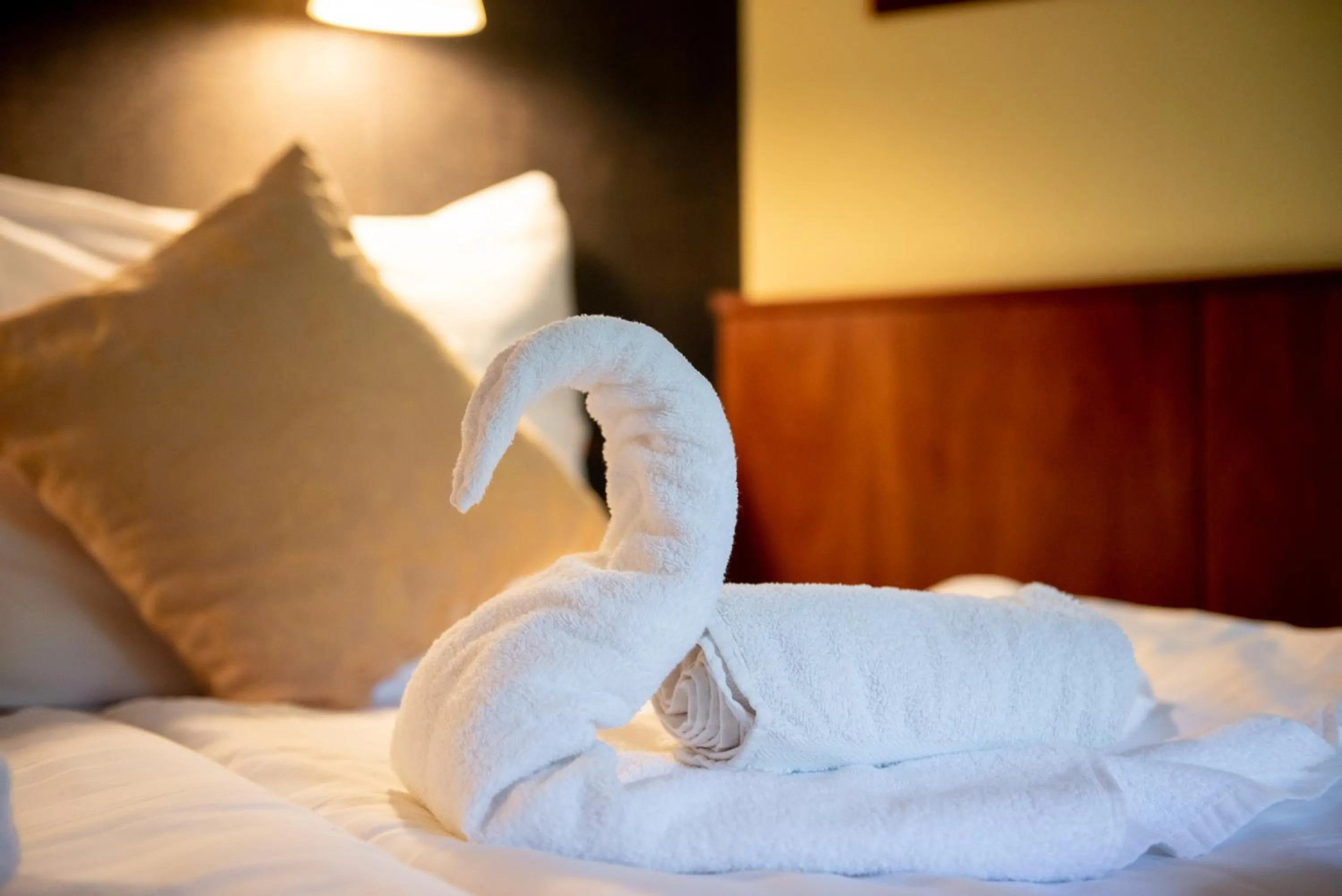 Photo of the whole room, Bed in Nyerges Hotel Termál Superior