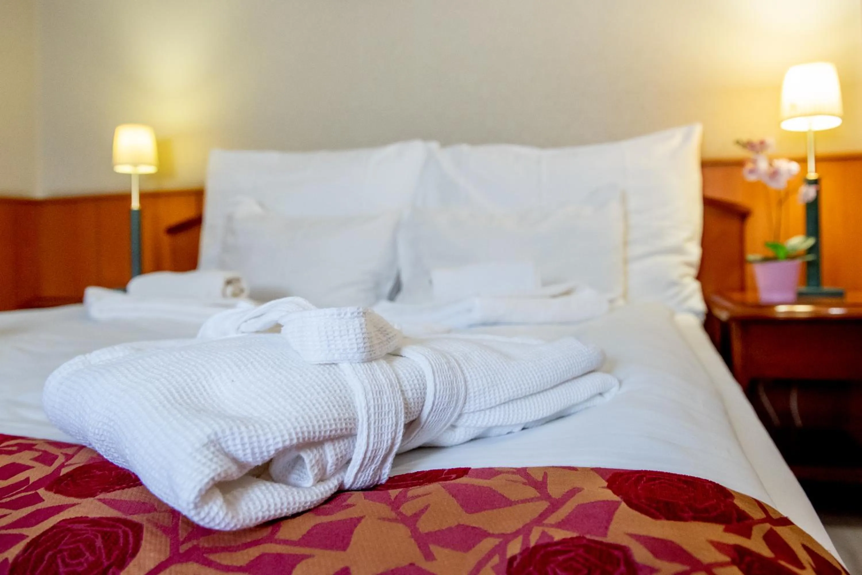 Photo of the whole room, Bed in Nyerges Hotel Termál Superior