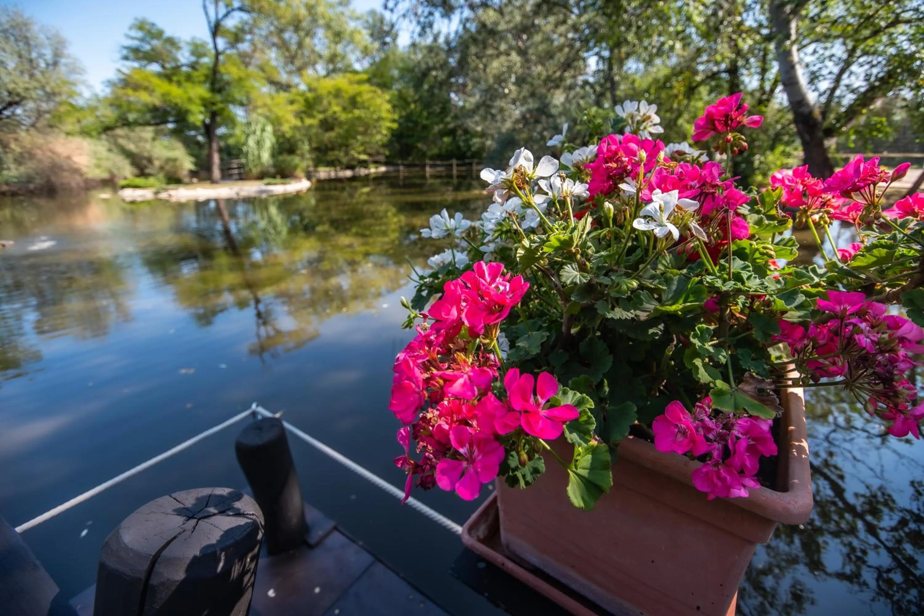 Natural landscape in Nyerges Hotel Termál Superior