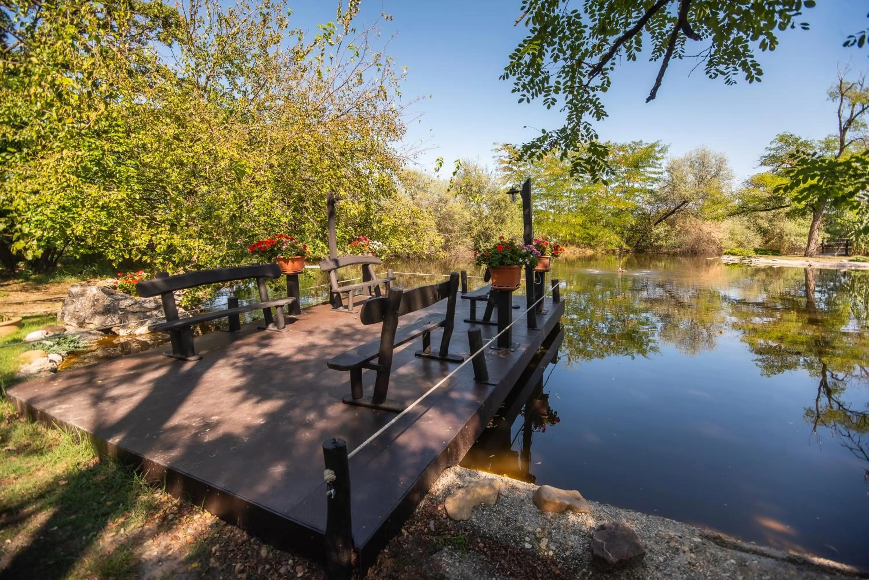 Garden in Nyerges Hotel Termál Superior