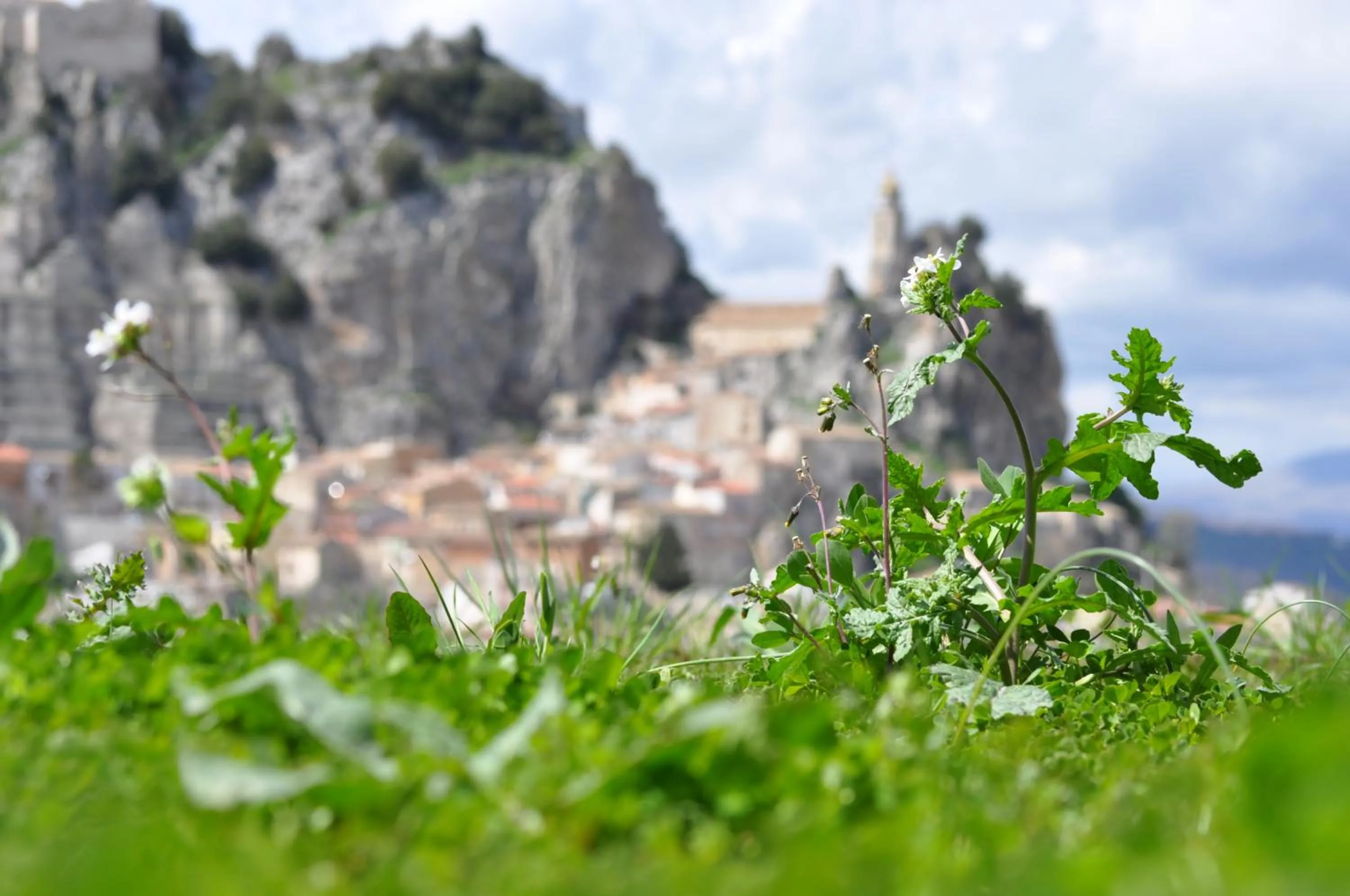 Spring in Domus Hotel