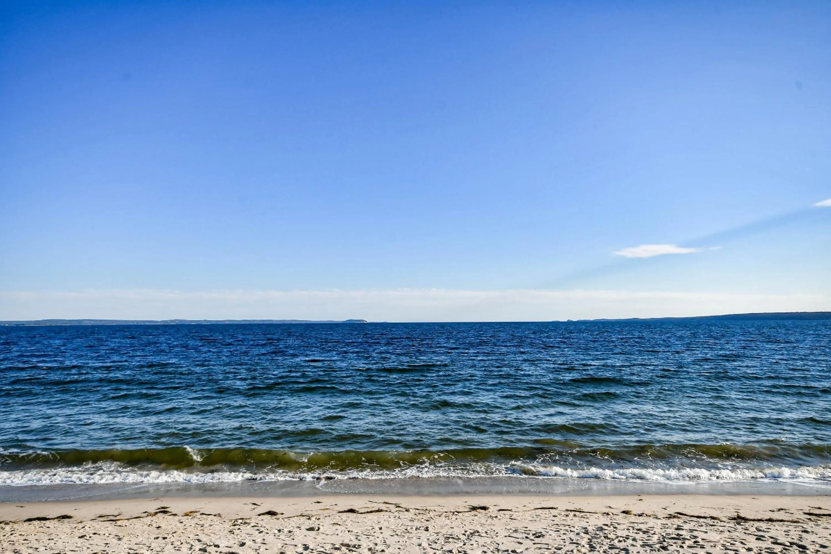 Activities in Surfside Inn