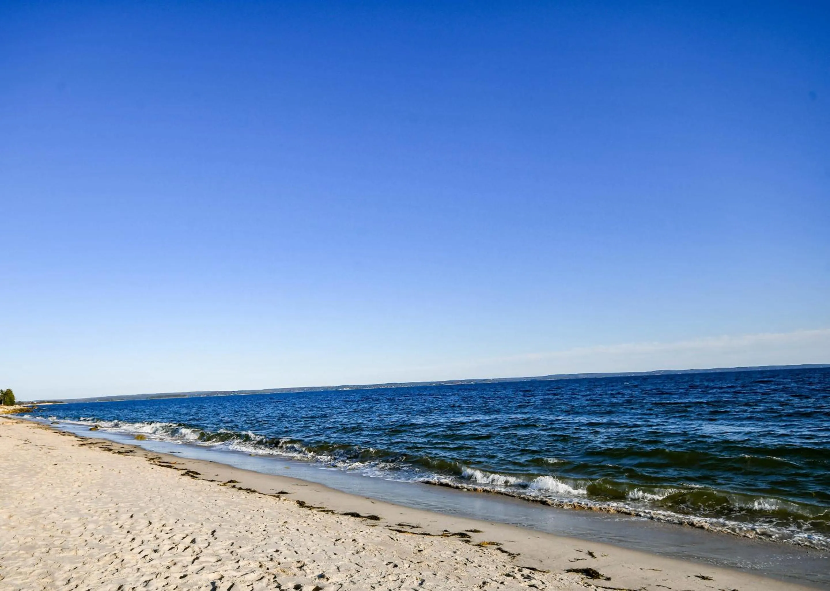 Activities in Surfside Inn