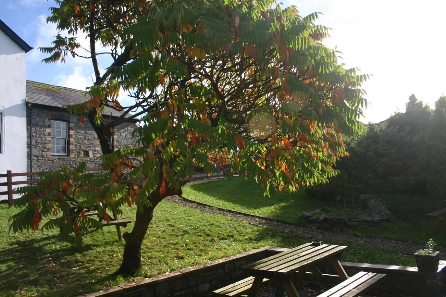 Garden in The Tanners Arms