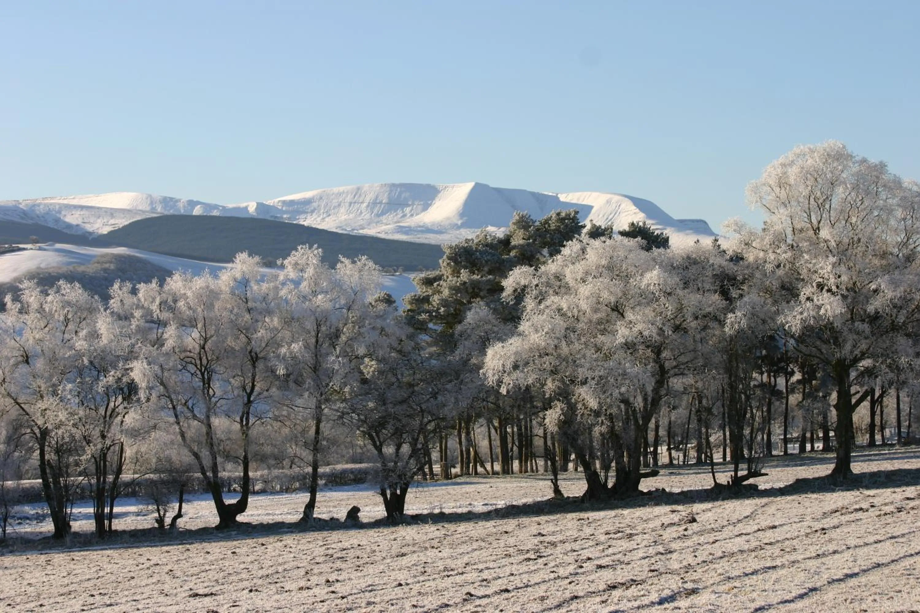 Area and facilities in The Tanners Arms