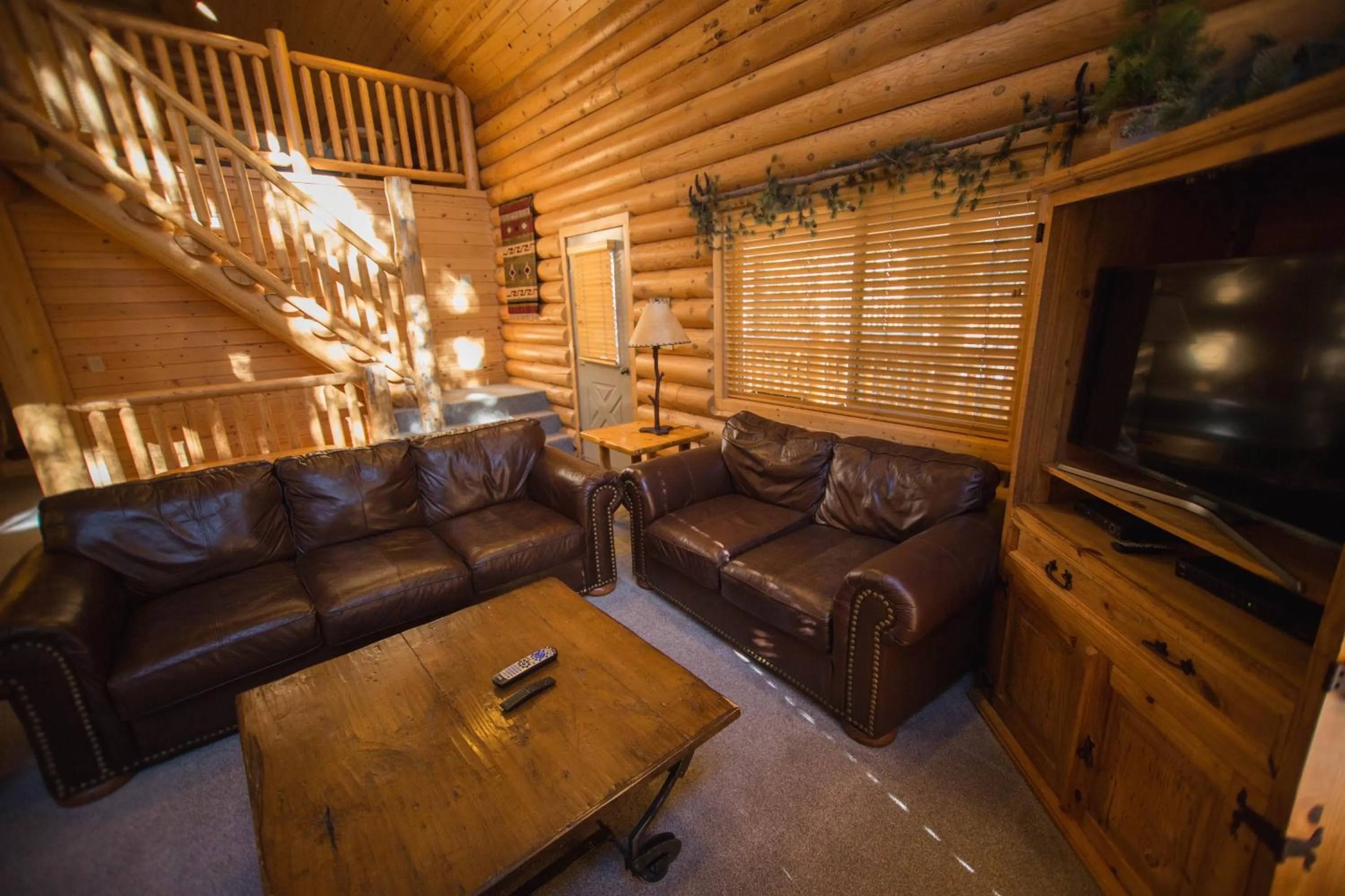 TV and multimedia in The Pines at Island Park