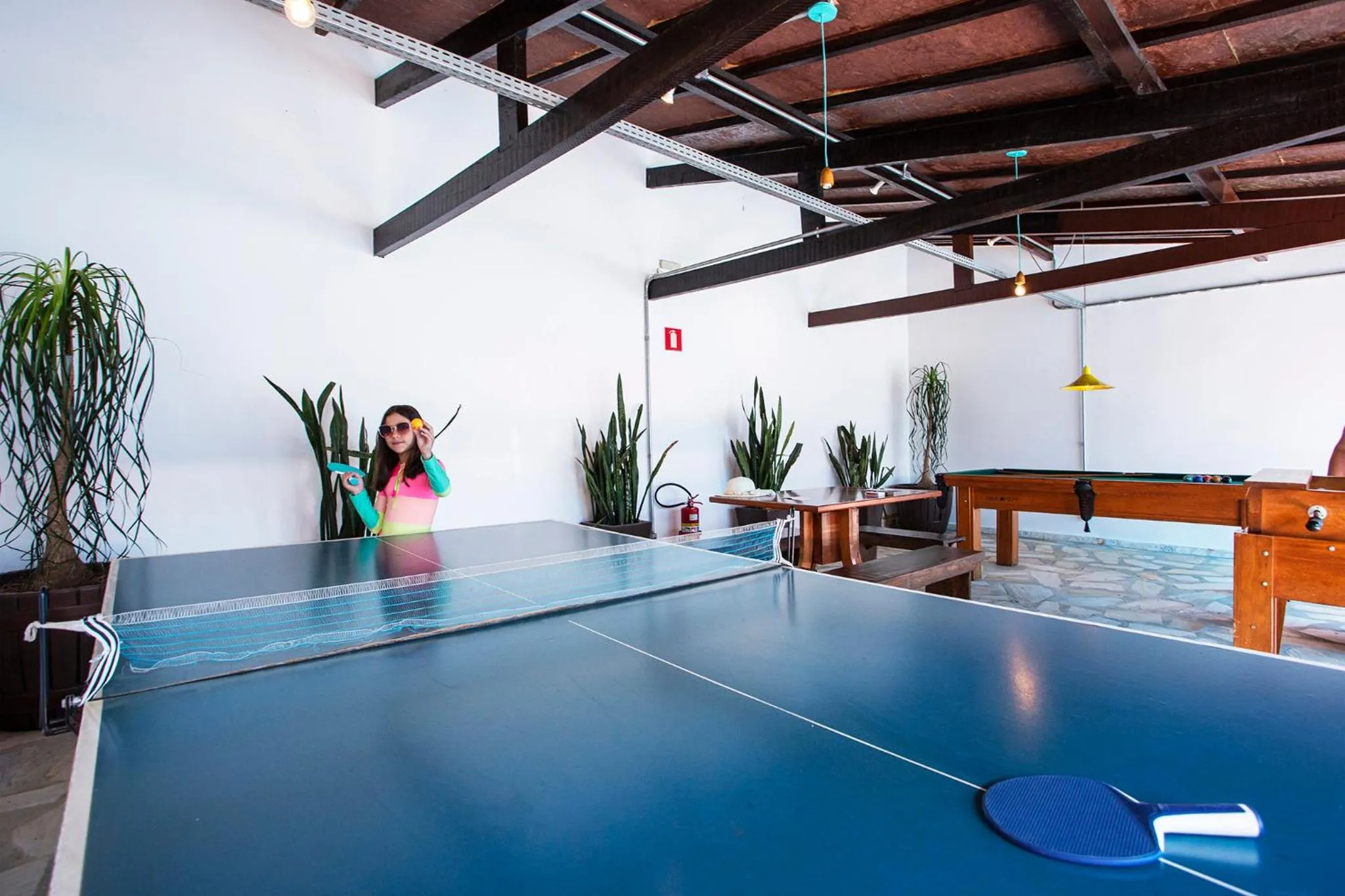 Game Room in Pousada das Videiras