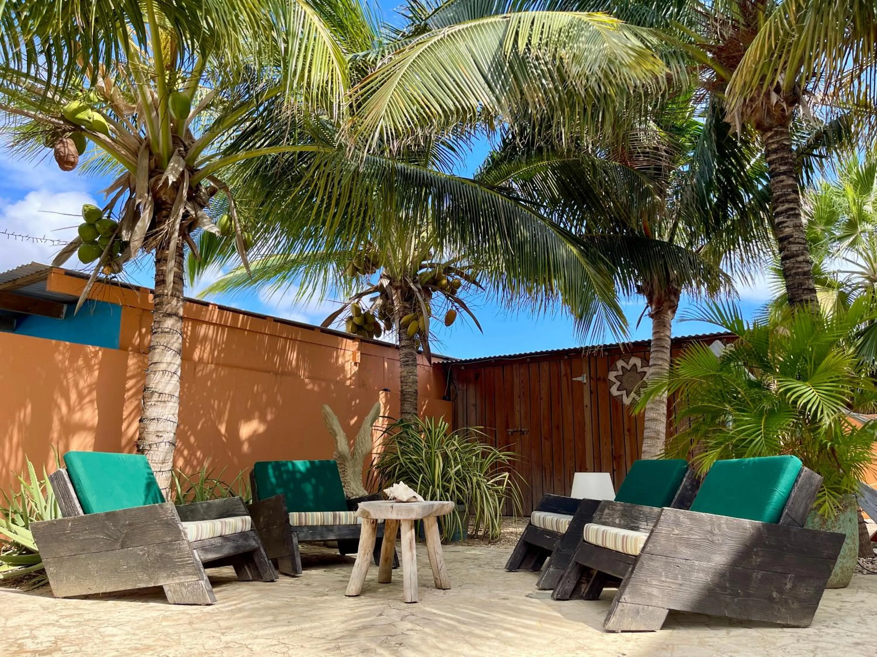 Garden in Oasis guesthouse, Boutique Style Hotel