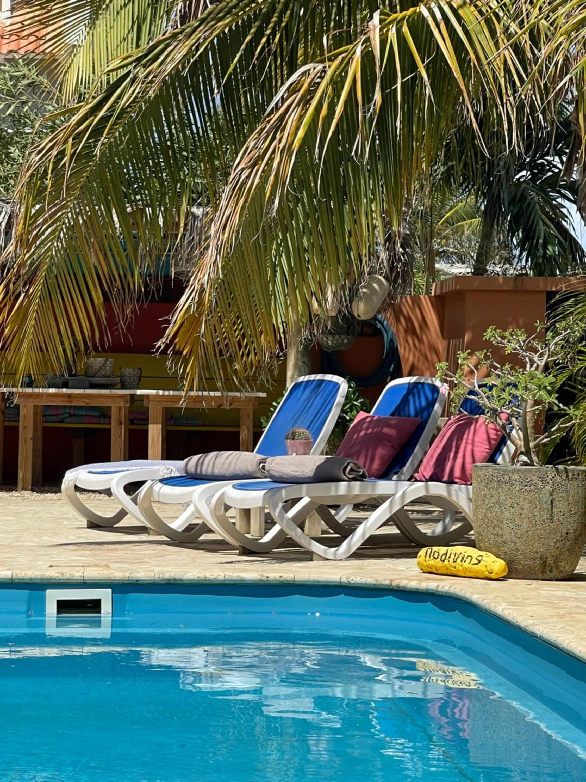 Swimming pool in Oasis guesthouse, Boutique Style Hotel