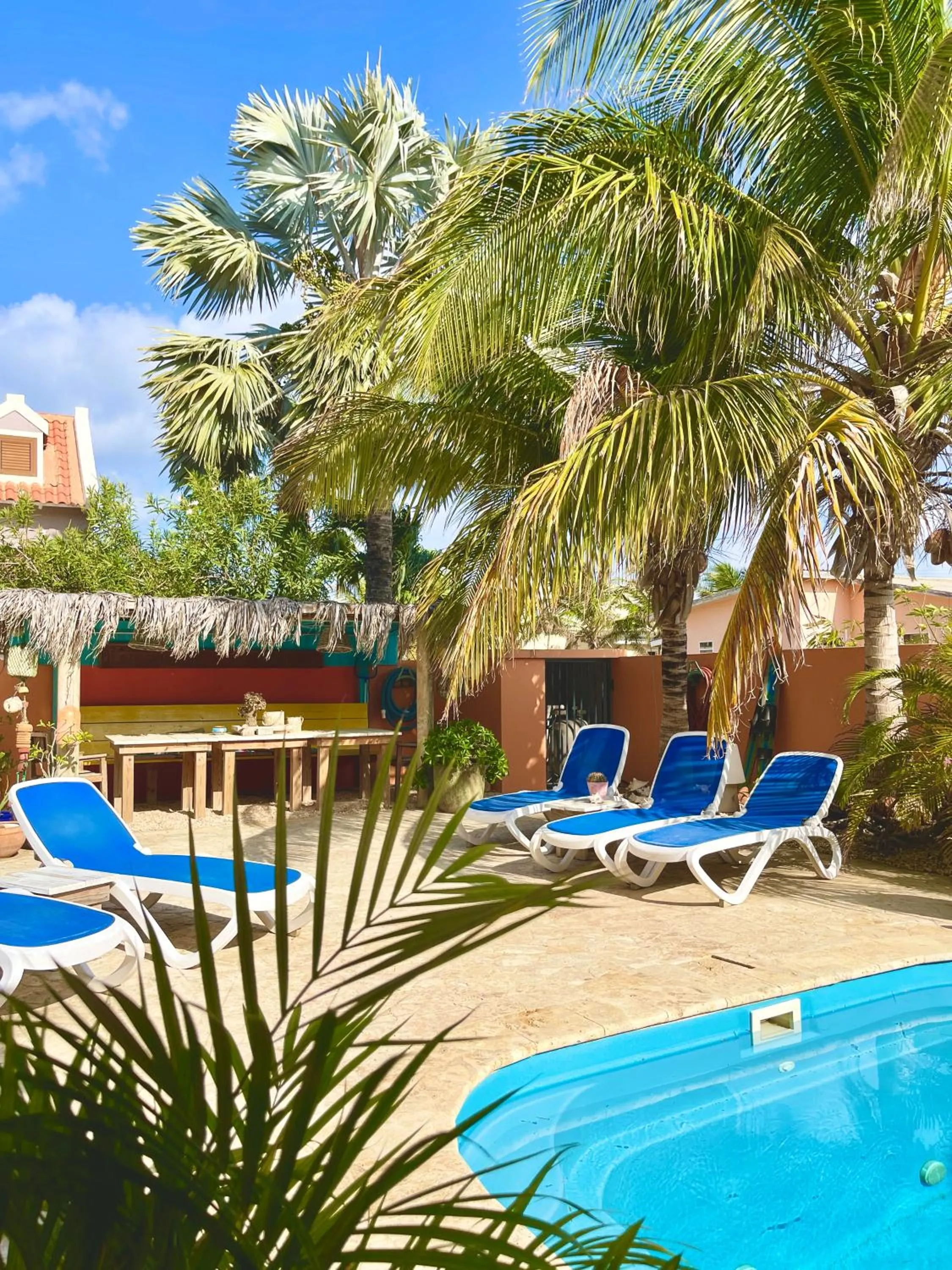 Swimming pool in Oasis guesthouse, Boutique Style Hotel
