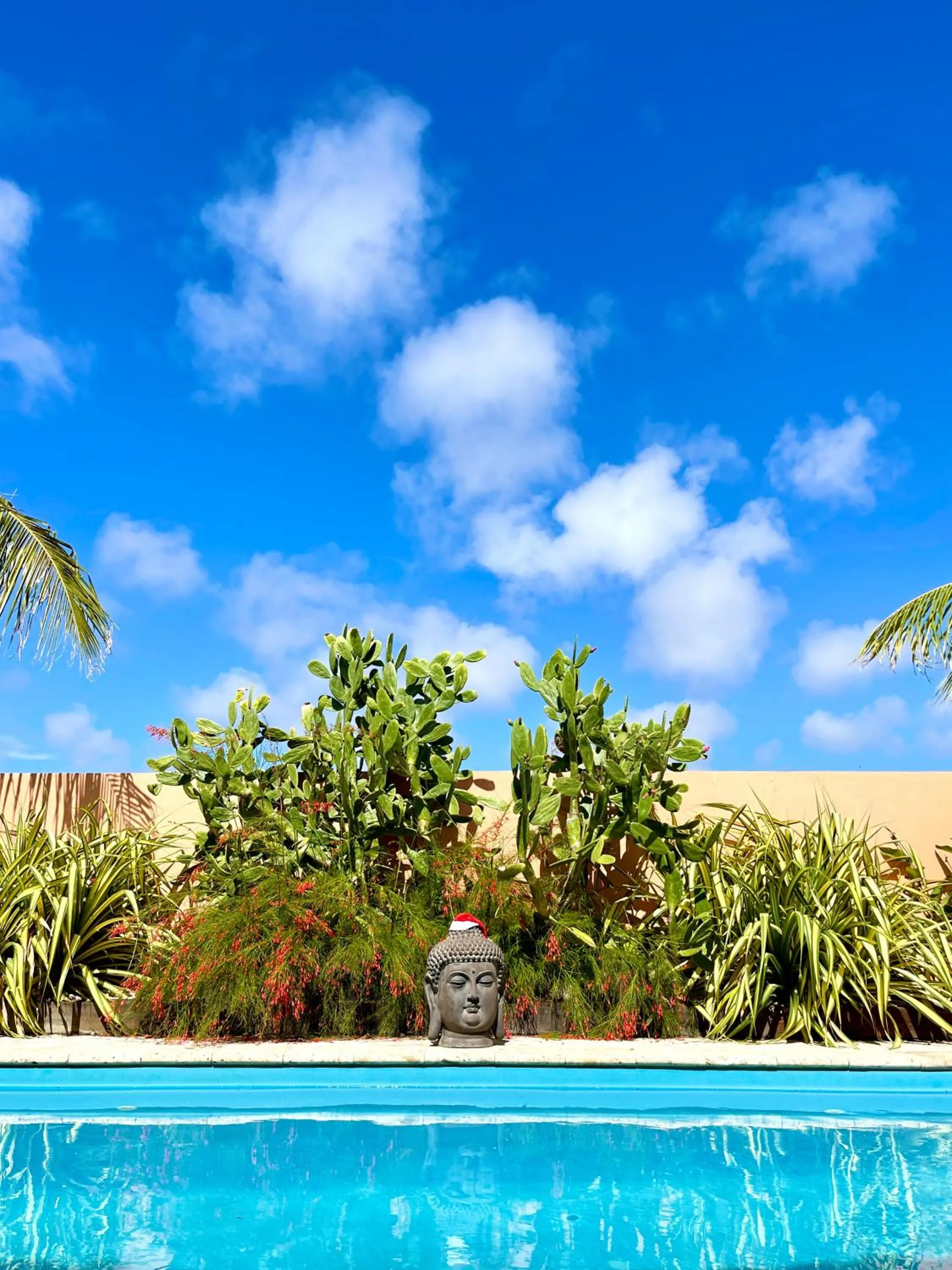 Swimming pool in Oasis guesthouse, Boutique Style Hotel