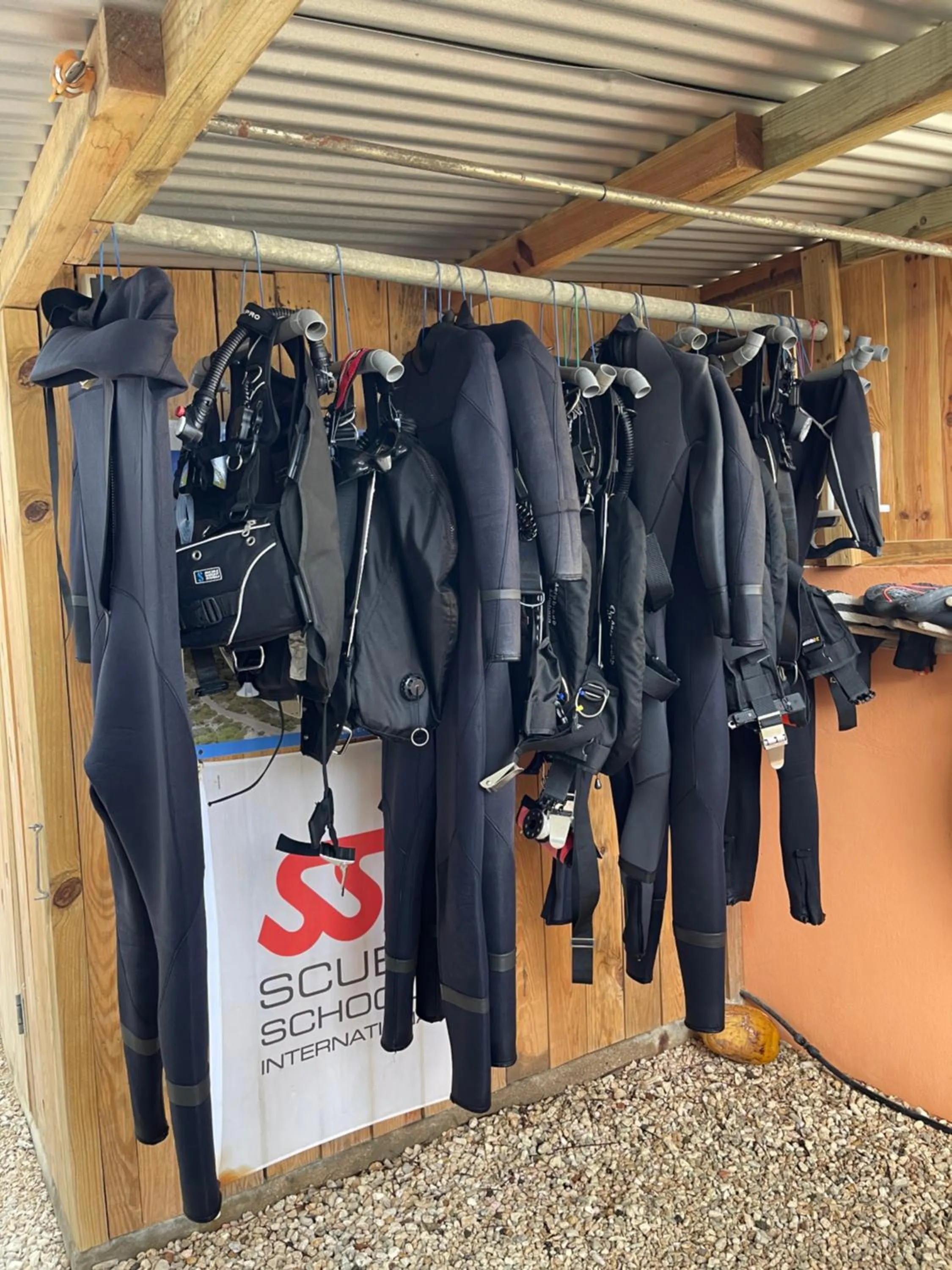 Diving in Oasis guesthouse, Boutique Style Hotel