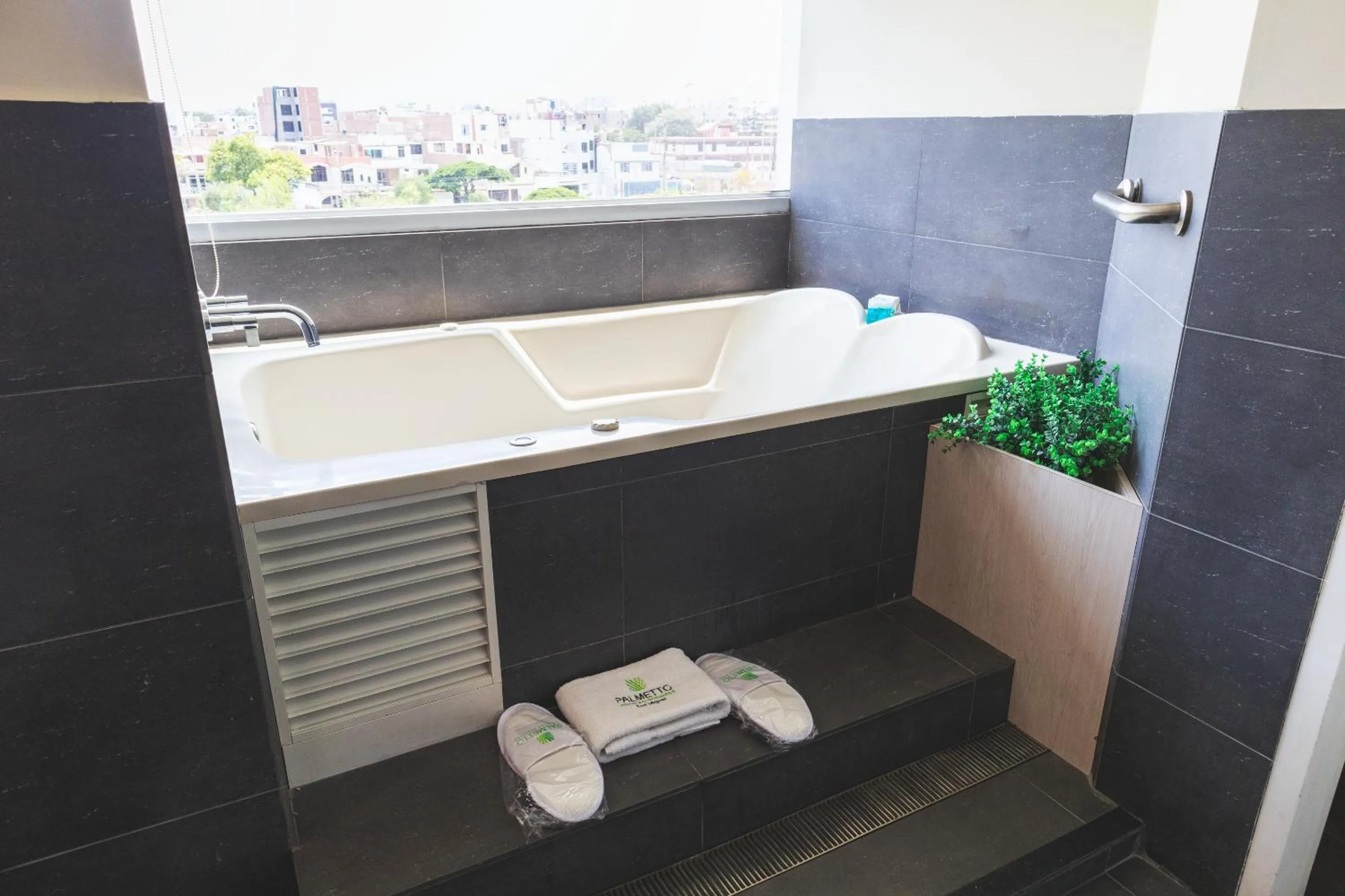 Bath in Palmetto Hotel Business San Miguel