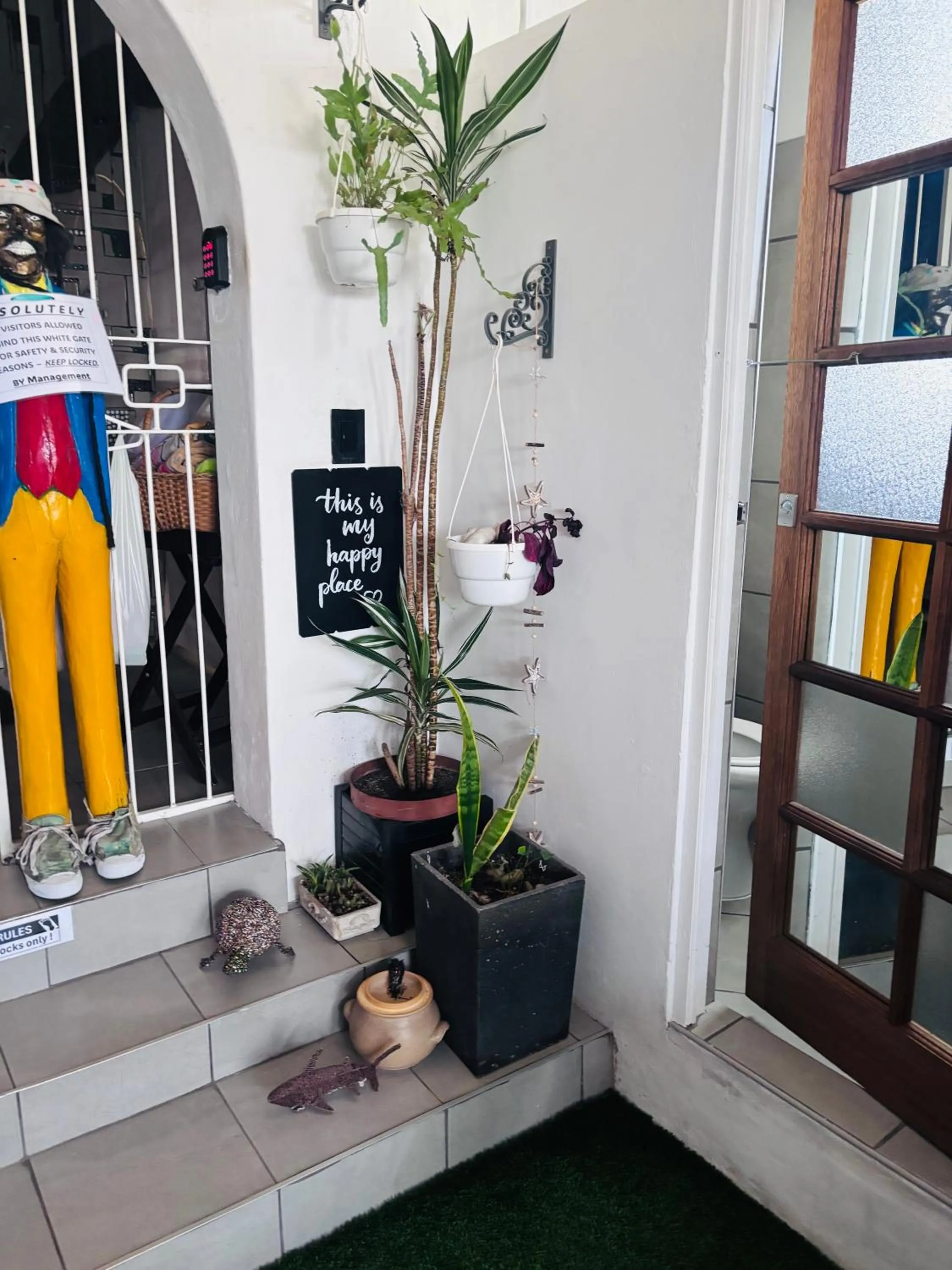 Property building in Cape Capsules