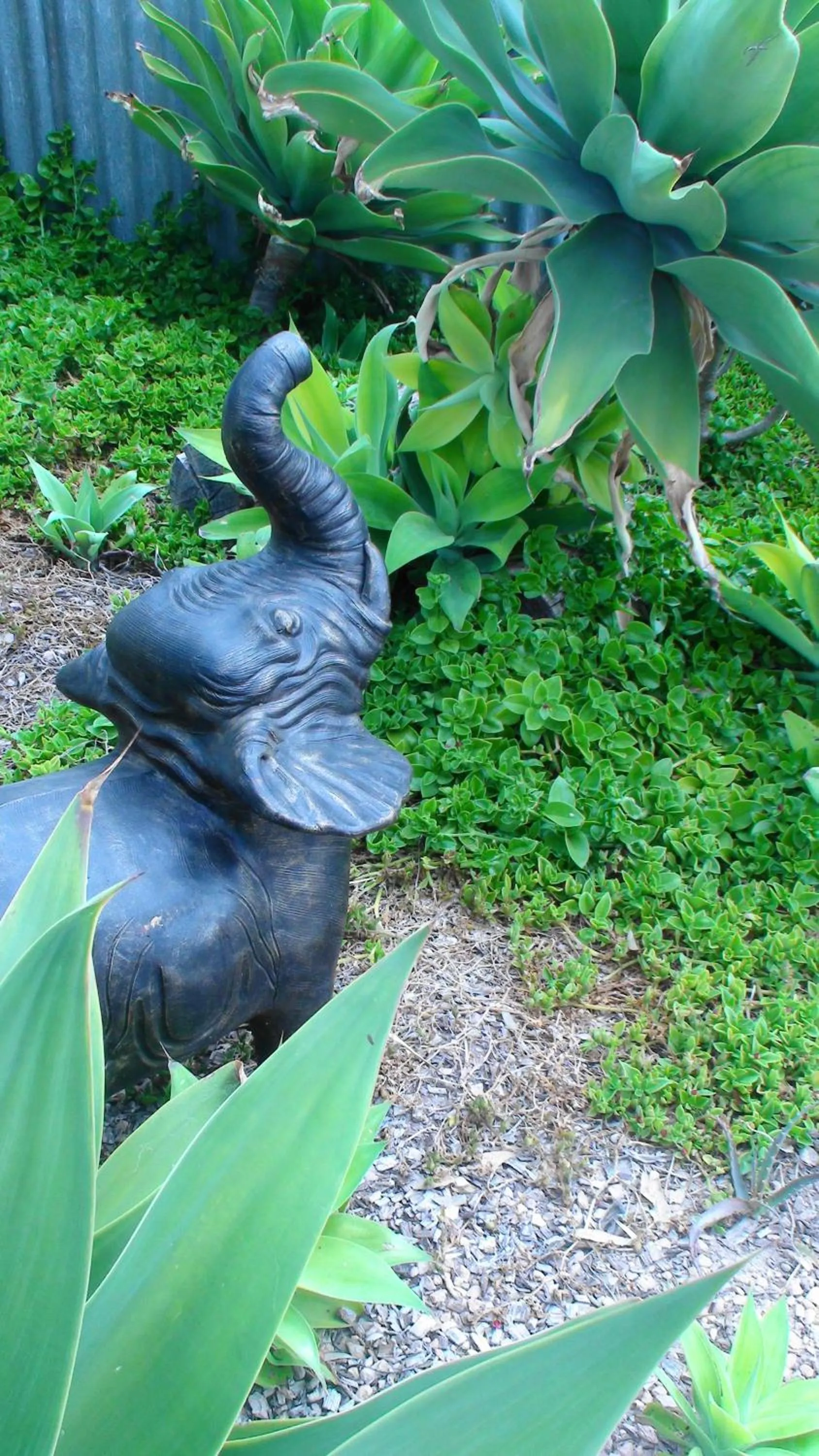 Streaky Bay Motel and Villas