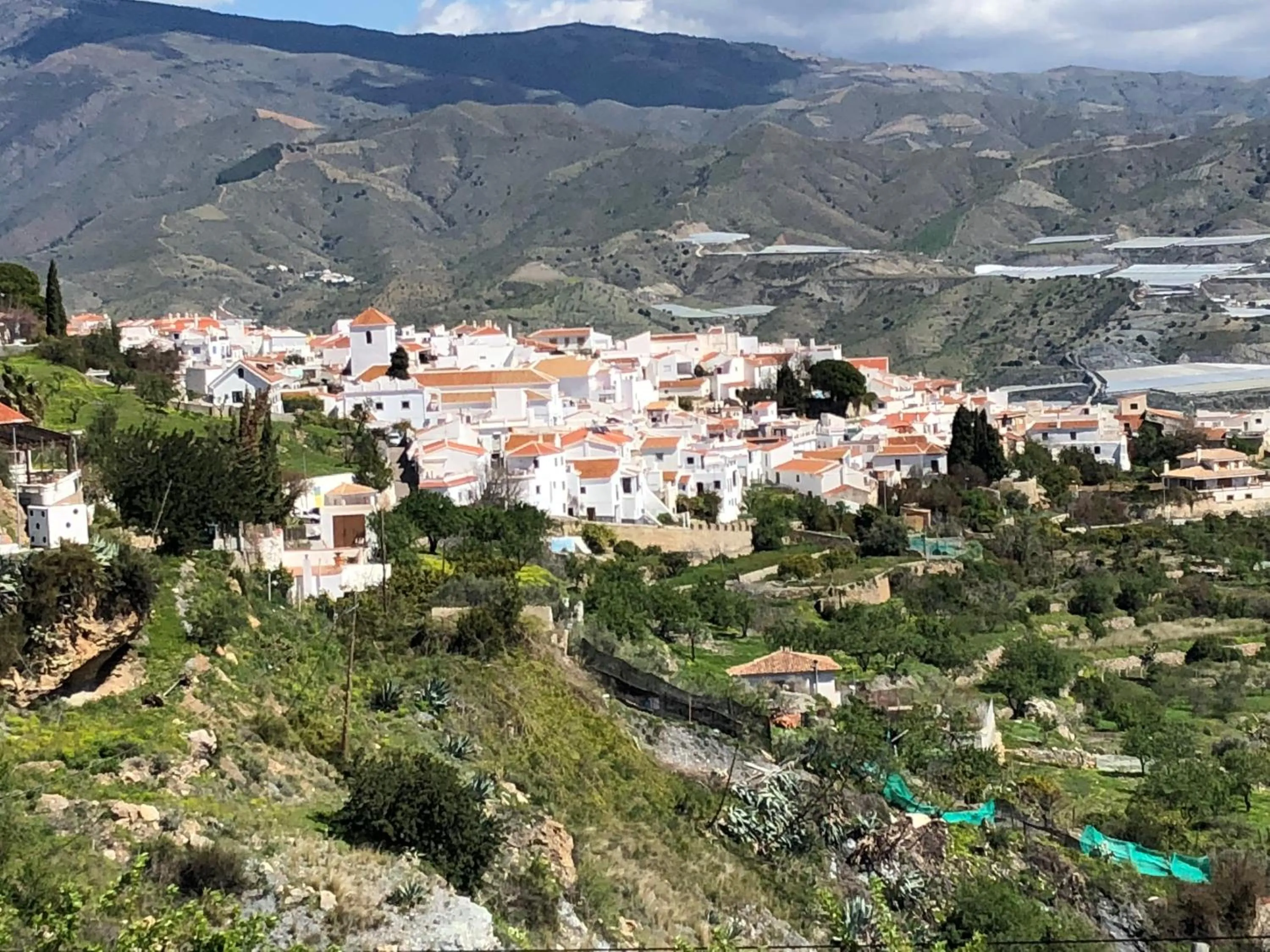 Bird's eye view in Limonero bnb