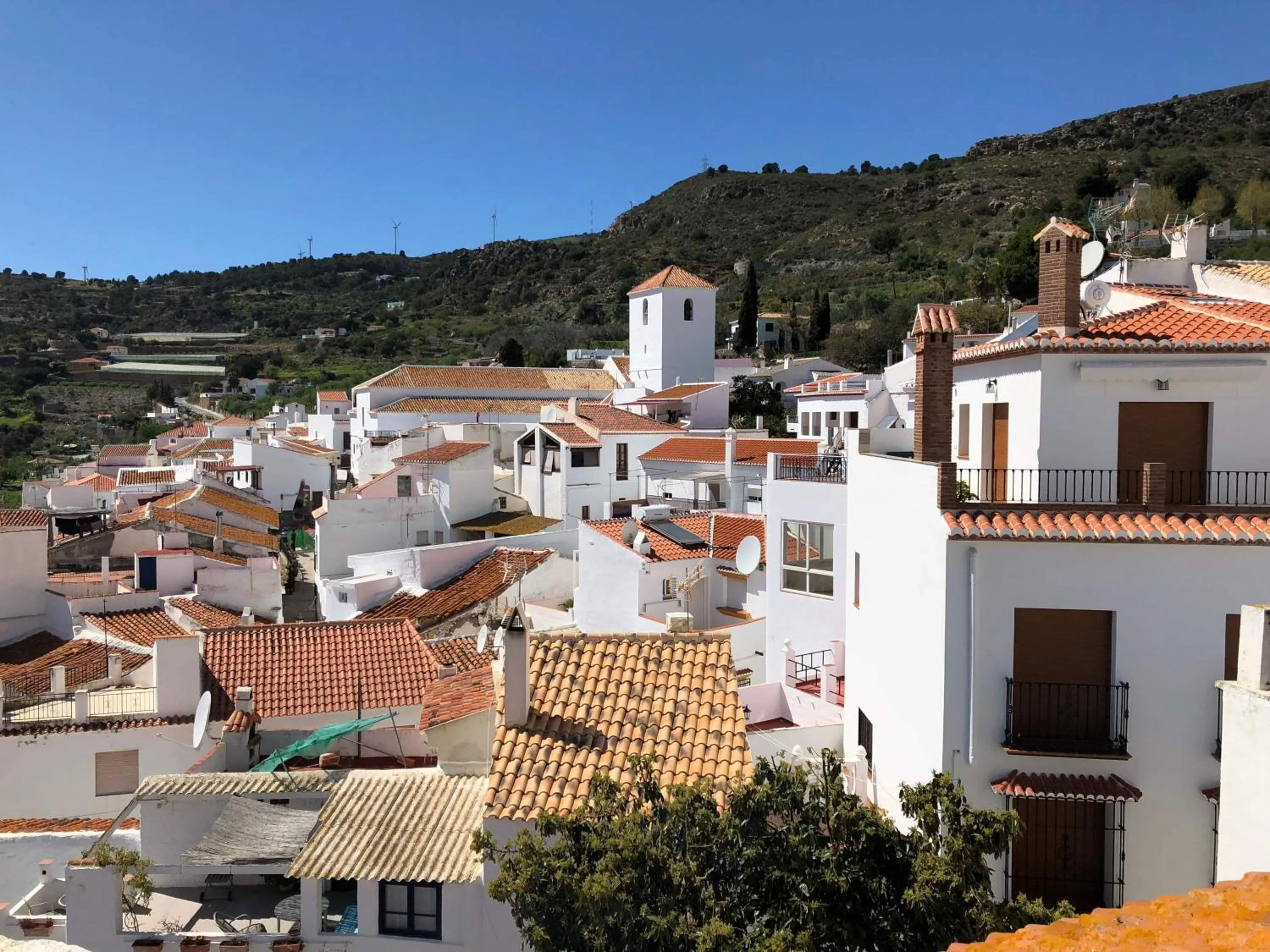 City view in Limonero bnb