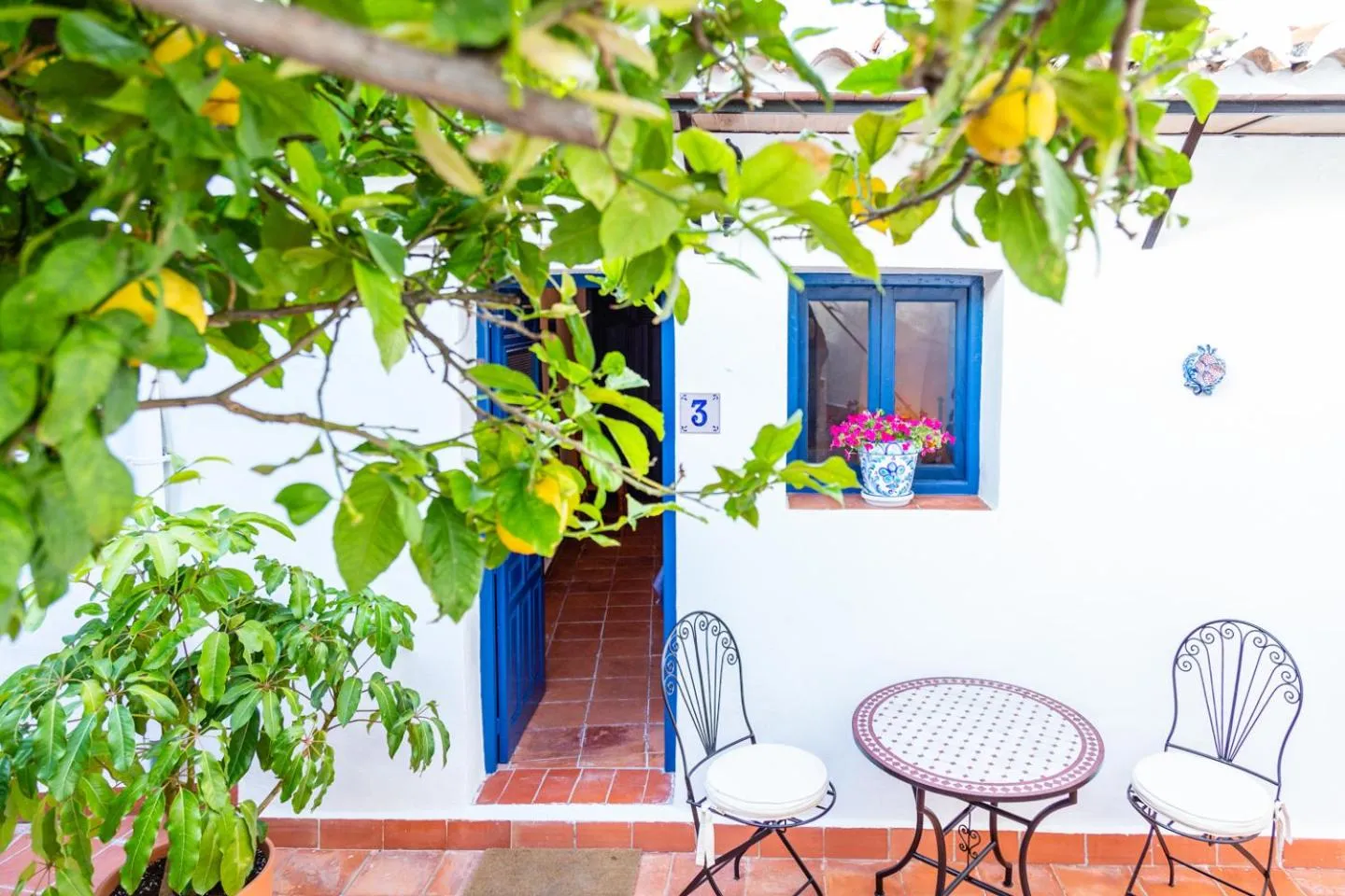 Patio in Limonero bnb