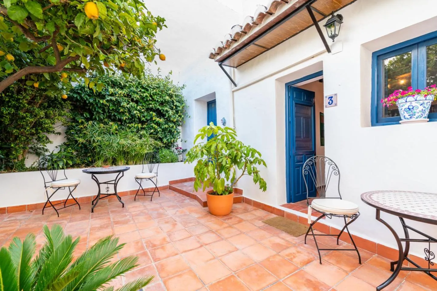Patio in Limonero bnb