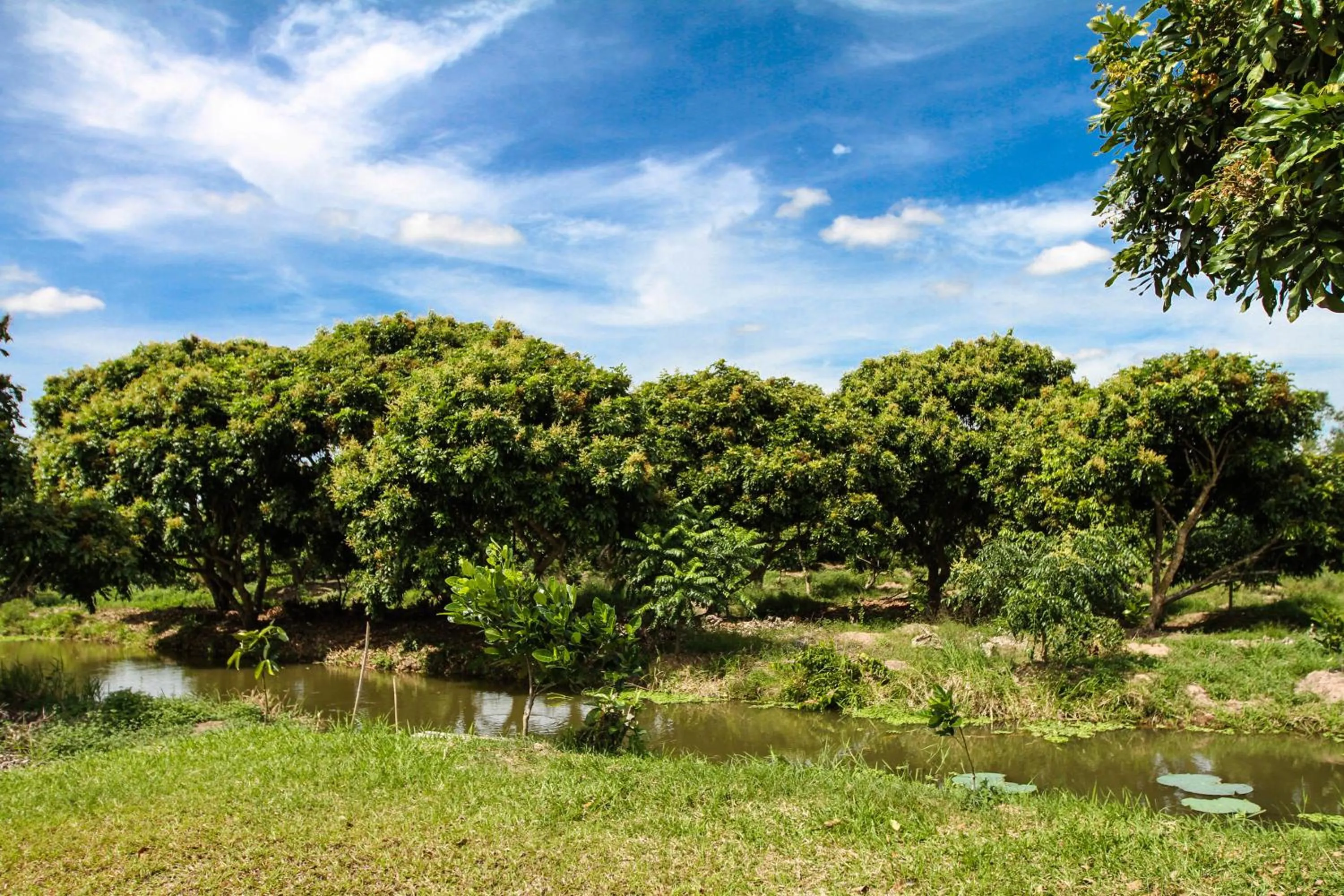 Garden in Mekong Riverside Boutique Resort & Spa