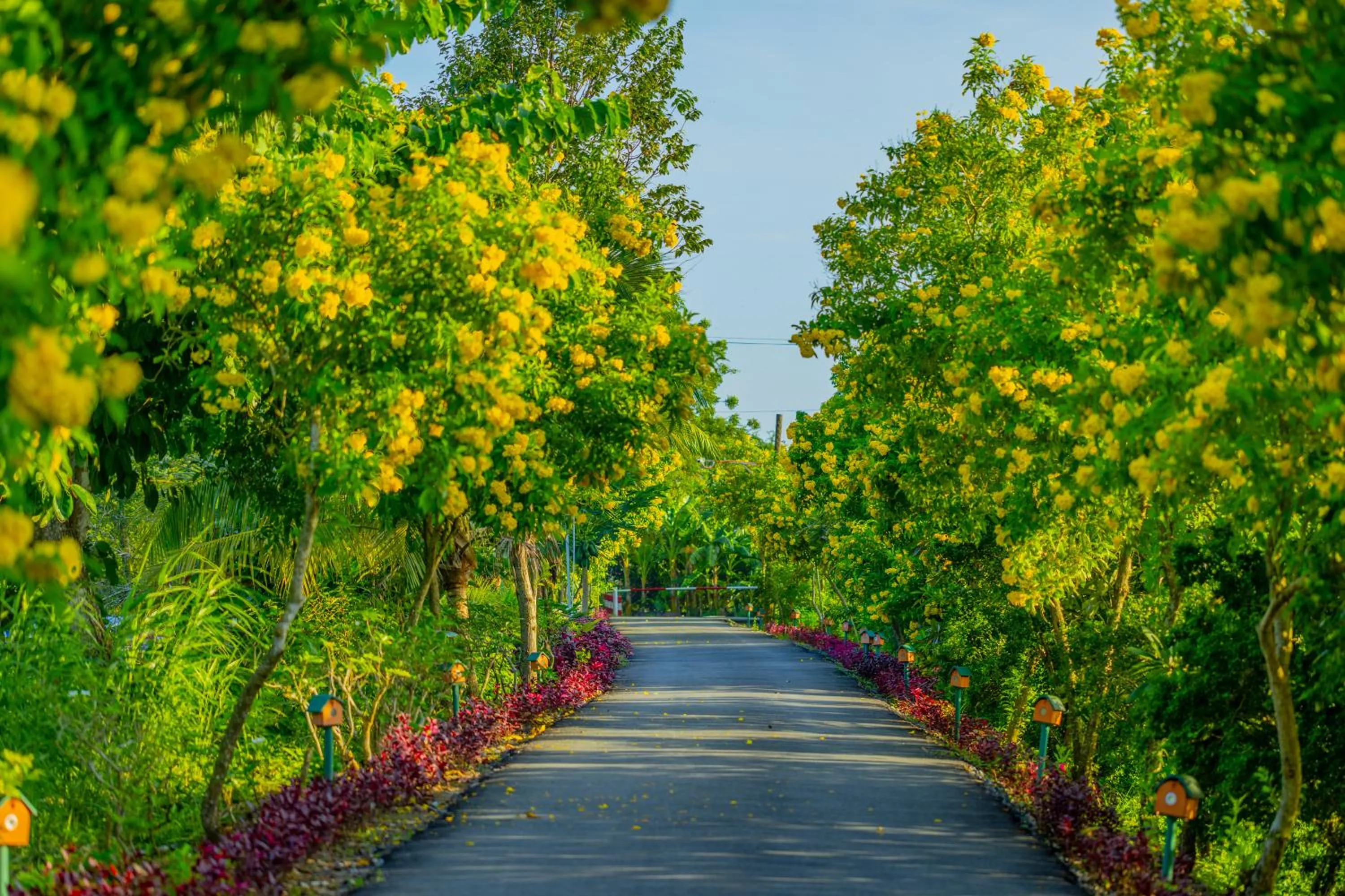 Natural landscape in Mekong Riverside Boutique Resort & Spa