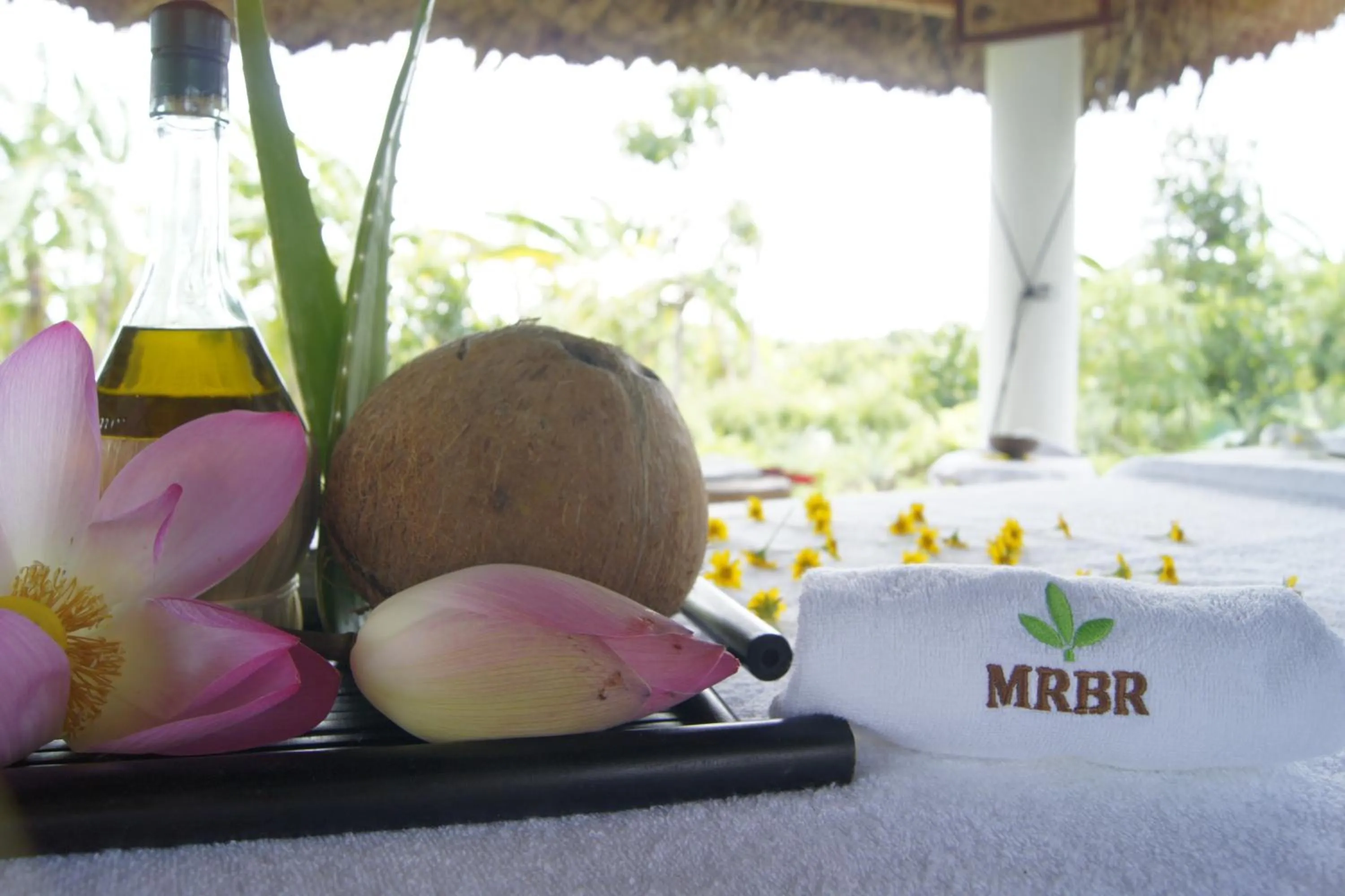 Spa and wellness centre/facilities in Mekong Riverside Boutique Resort & Spa