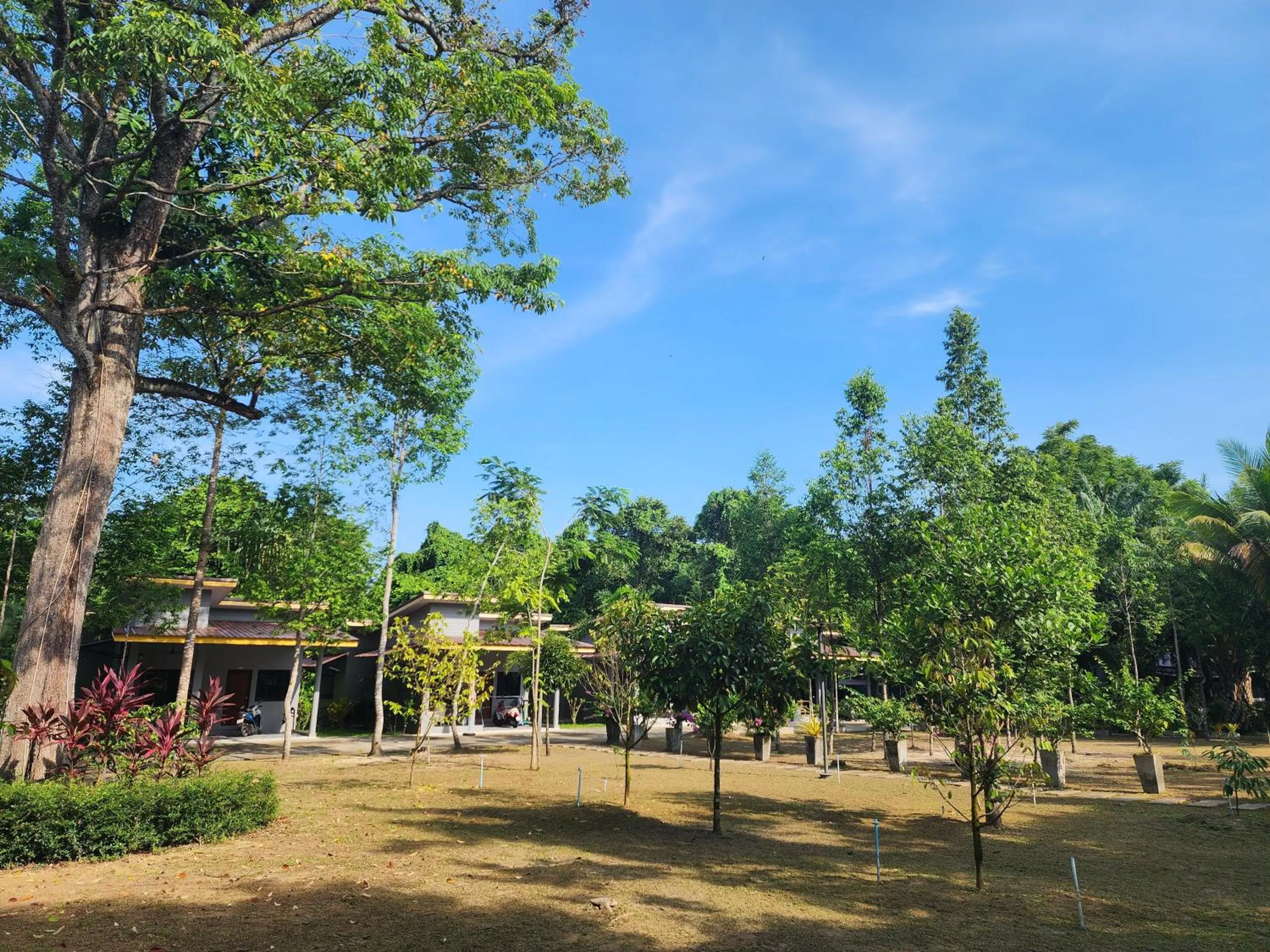 Garden view in Khaolak Yama Resort - SHA Plus