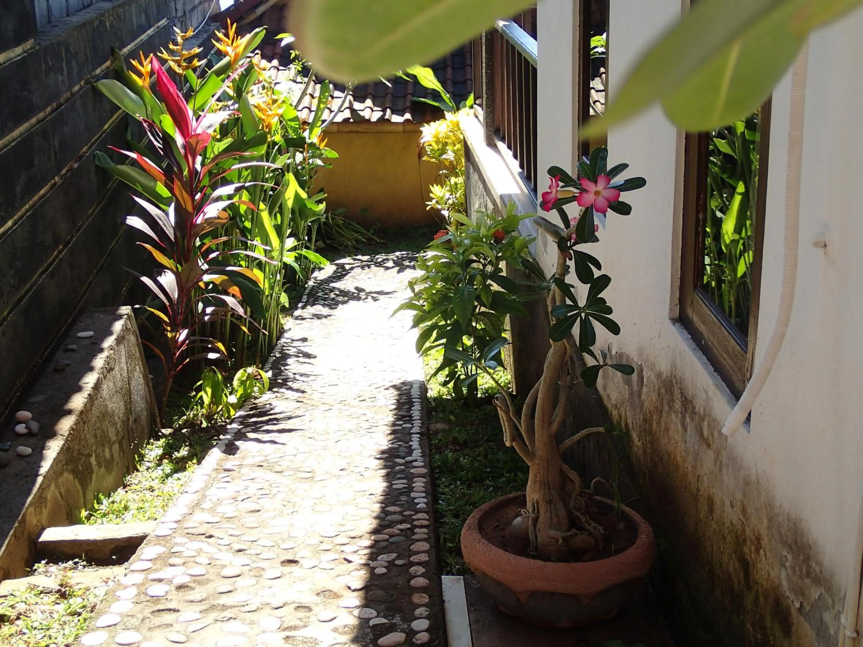 Titi Sedana Homestay