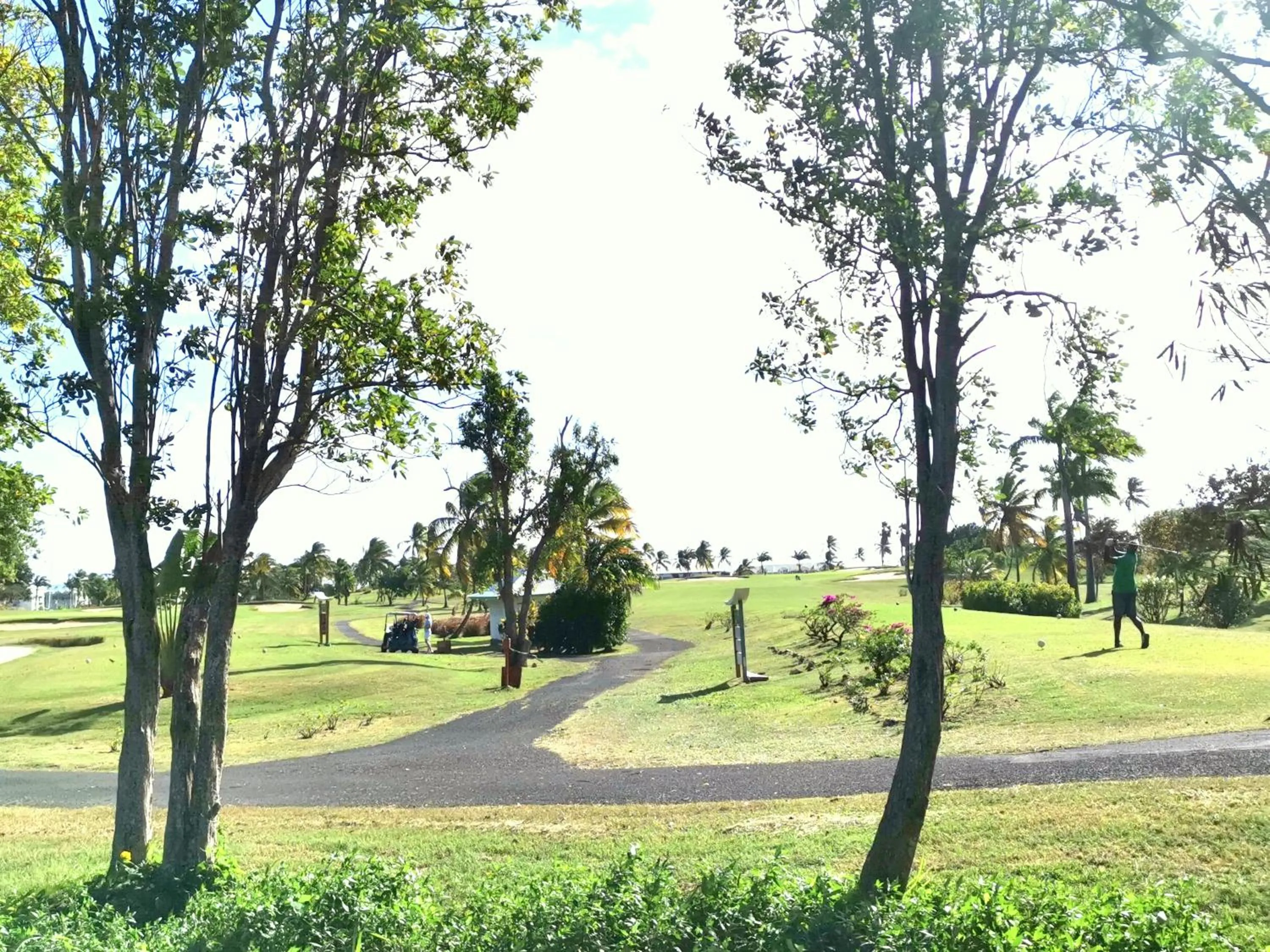 Golfcourse in Villa les Lataniers St-Francois