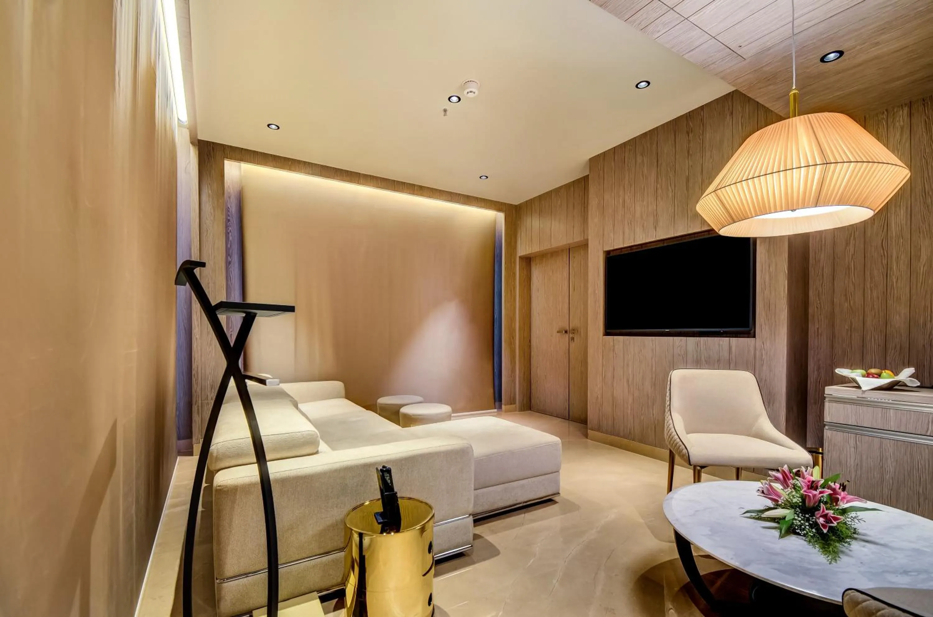 Living room in Vividus