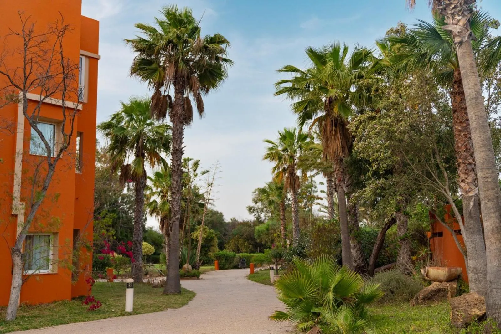 Natural landscape in Regency Tunis Hotel