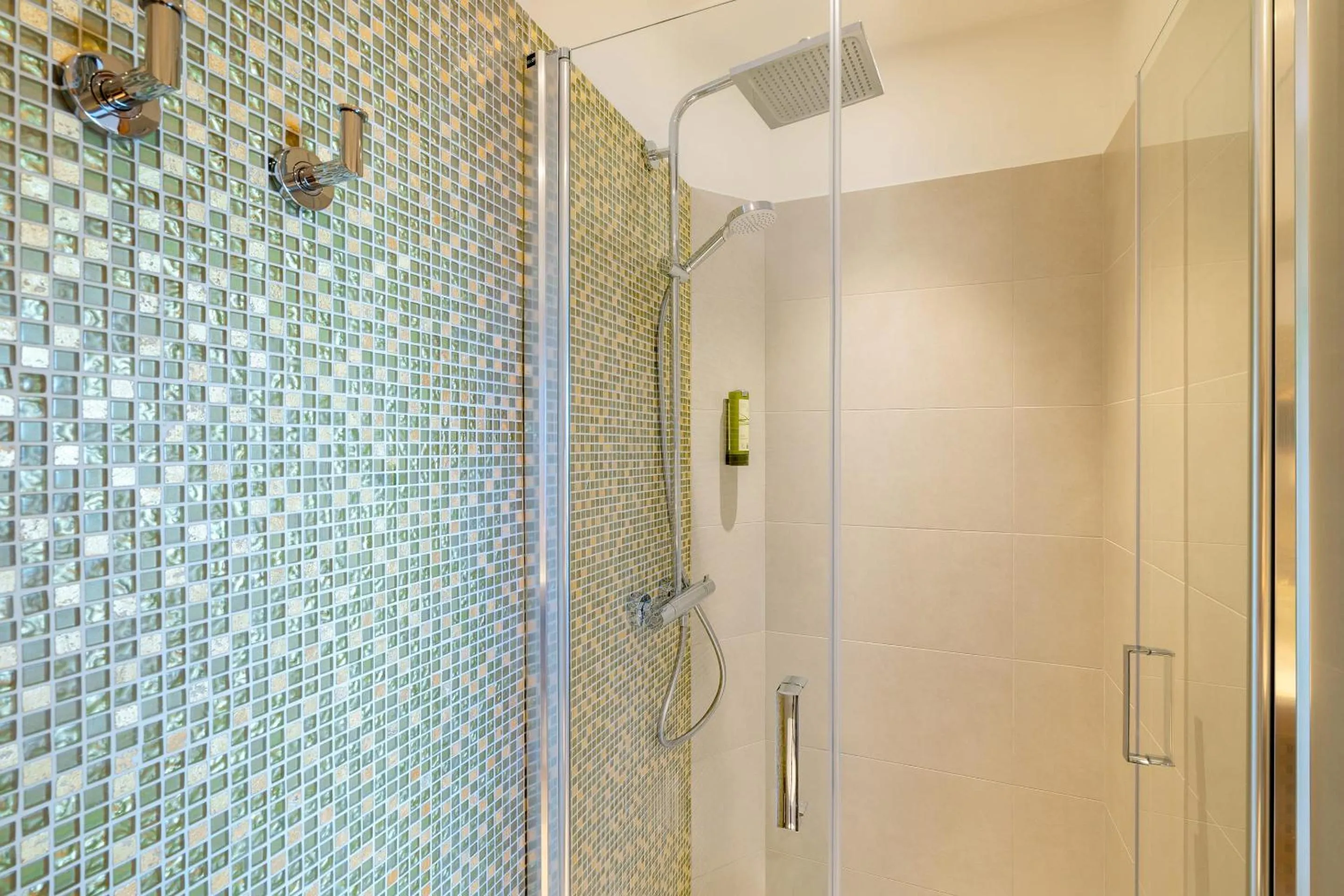 Shower in Best Western Premier Montfleuri