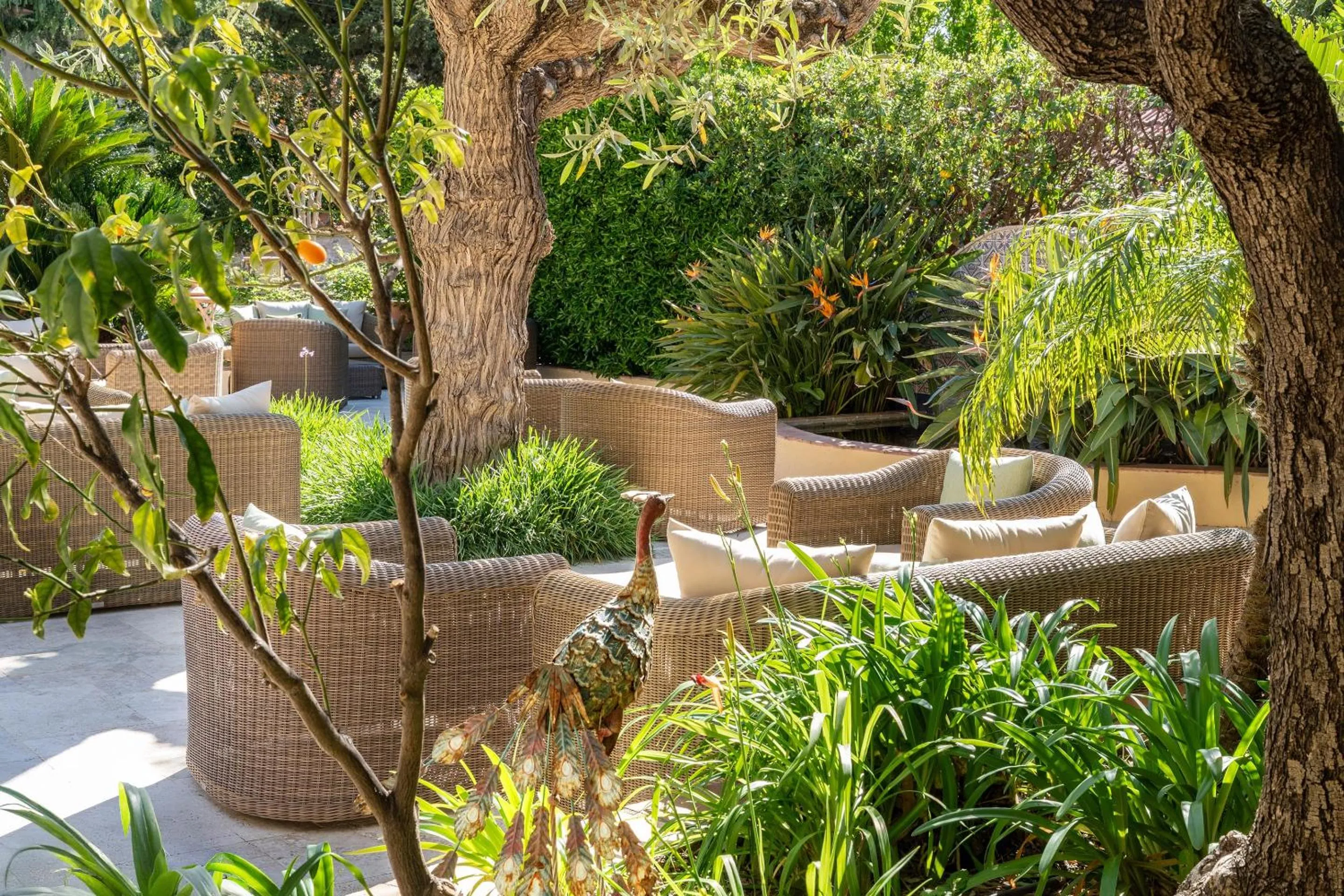 Garden in Best Western Premier Montfleuri