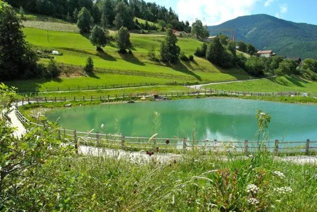 Natural landscape in Gasthof Teiser Stern