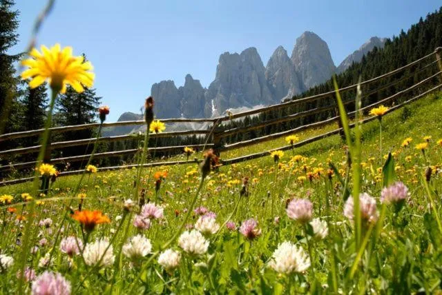 Natural landscape in Gasthof Teiser Stern
