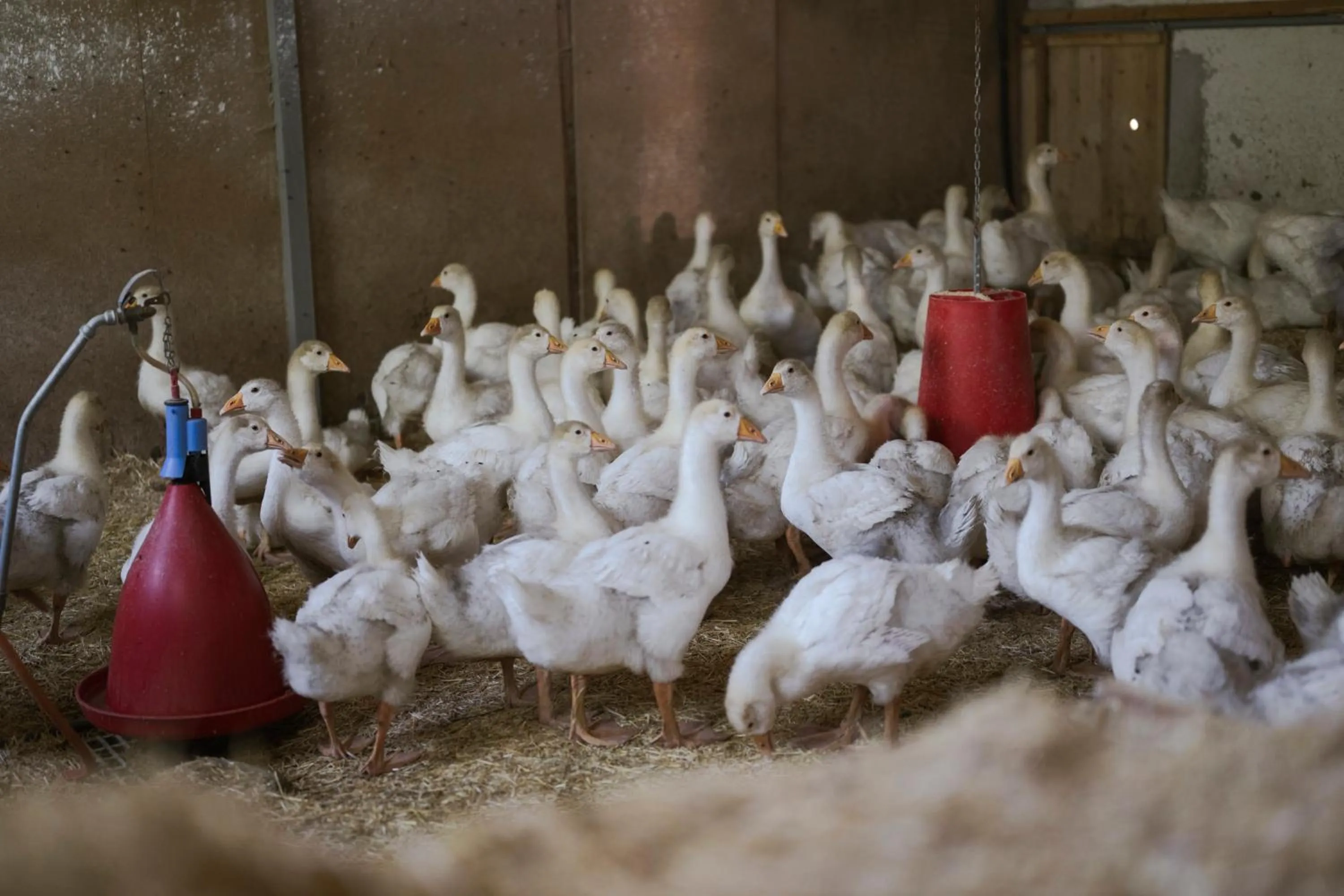 Nearby landmark in Gasthof Teiser Stern